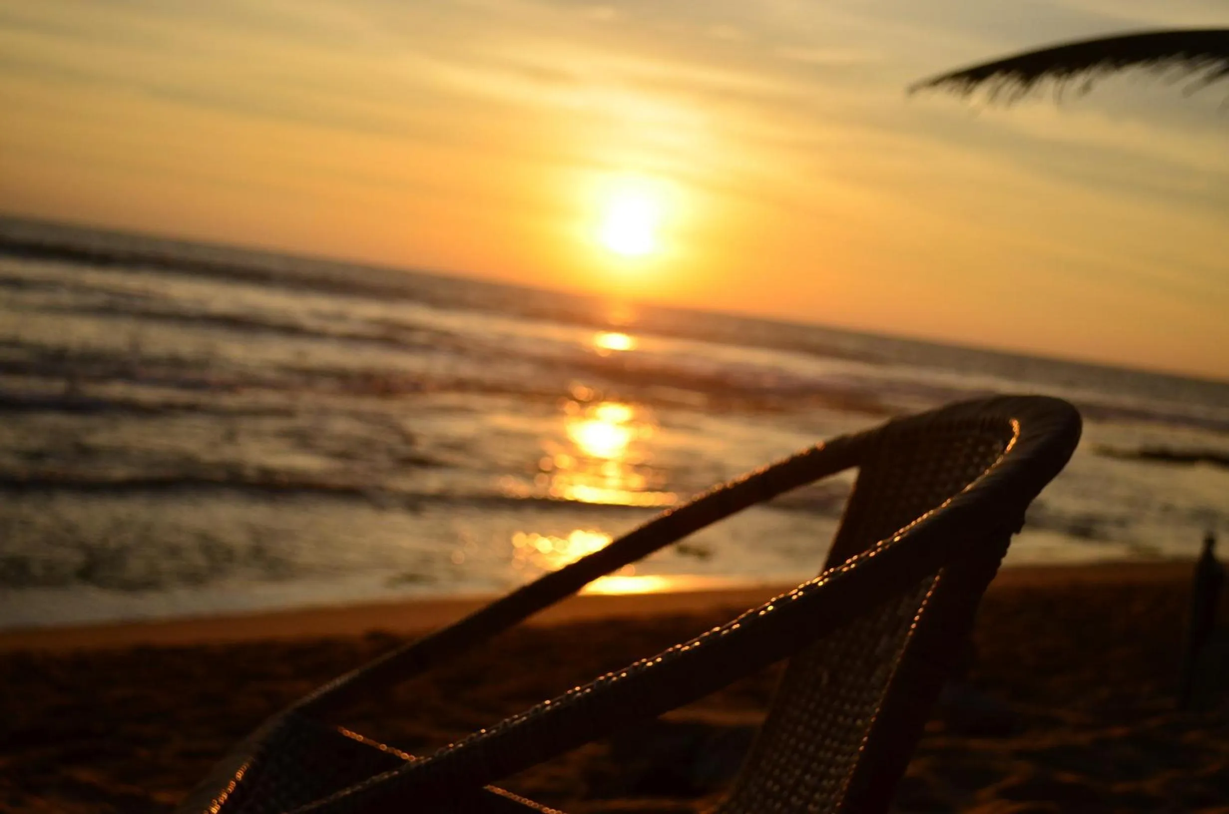 Area and facilities in Hotel Paradiso