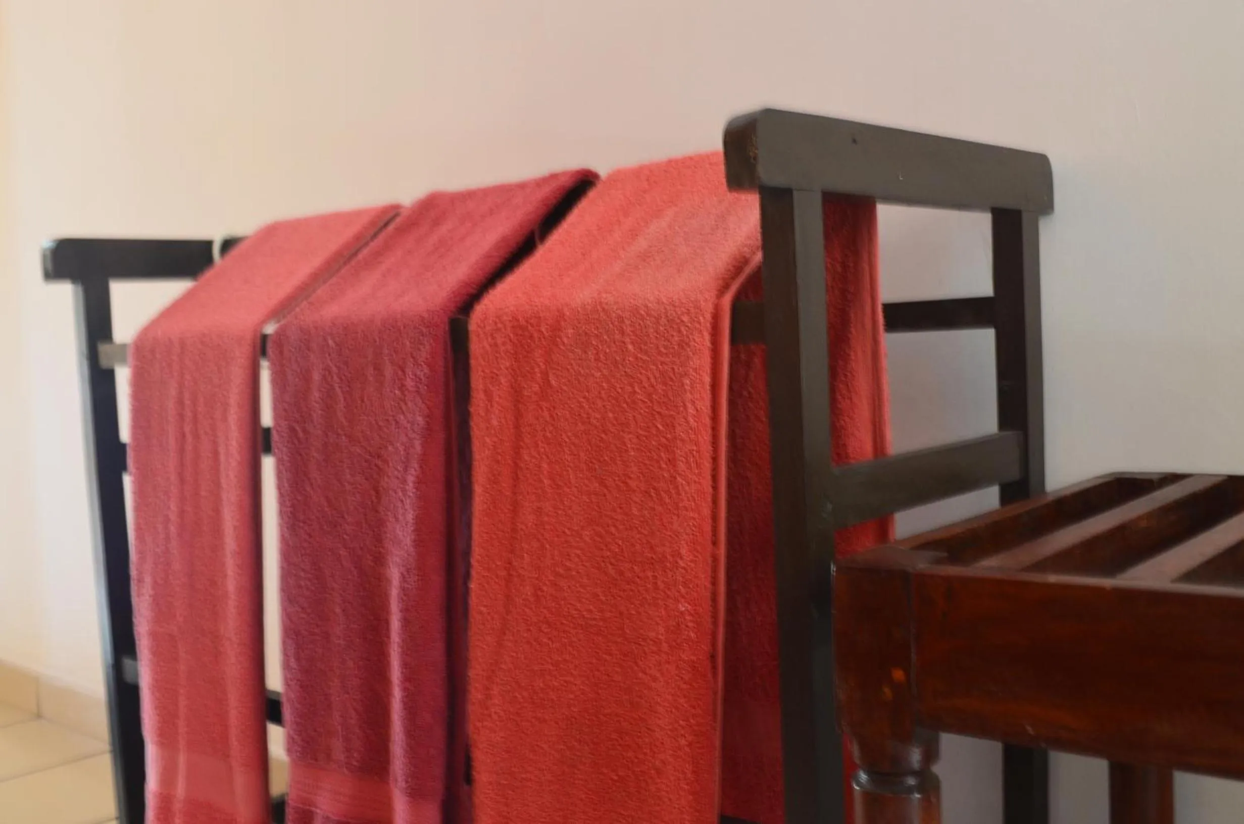 Area and facilities in Hotel Paradiso