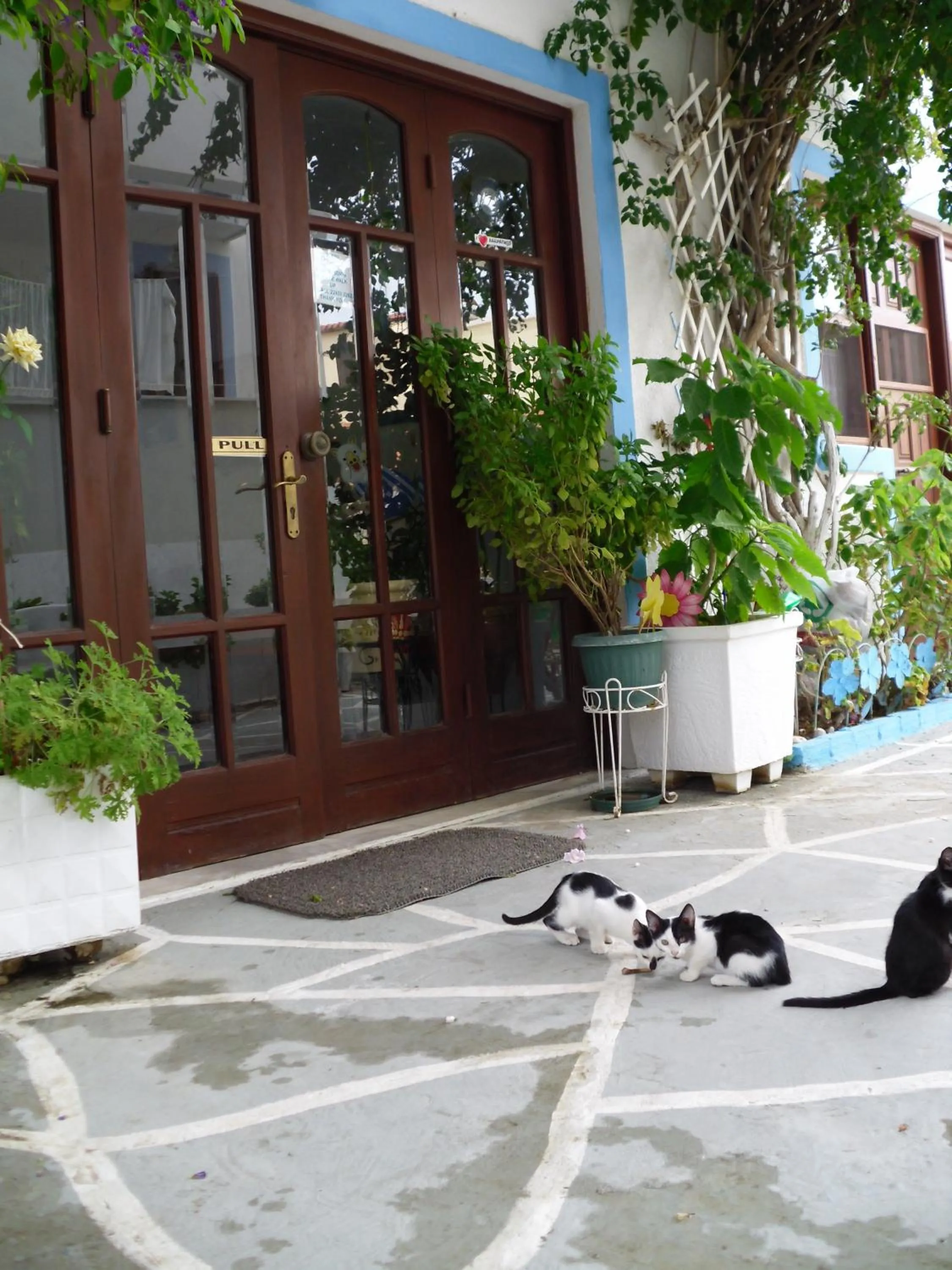 Property building in Mertonas Studios