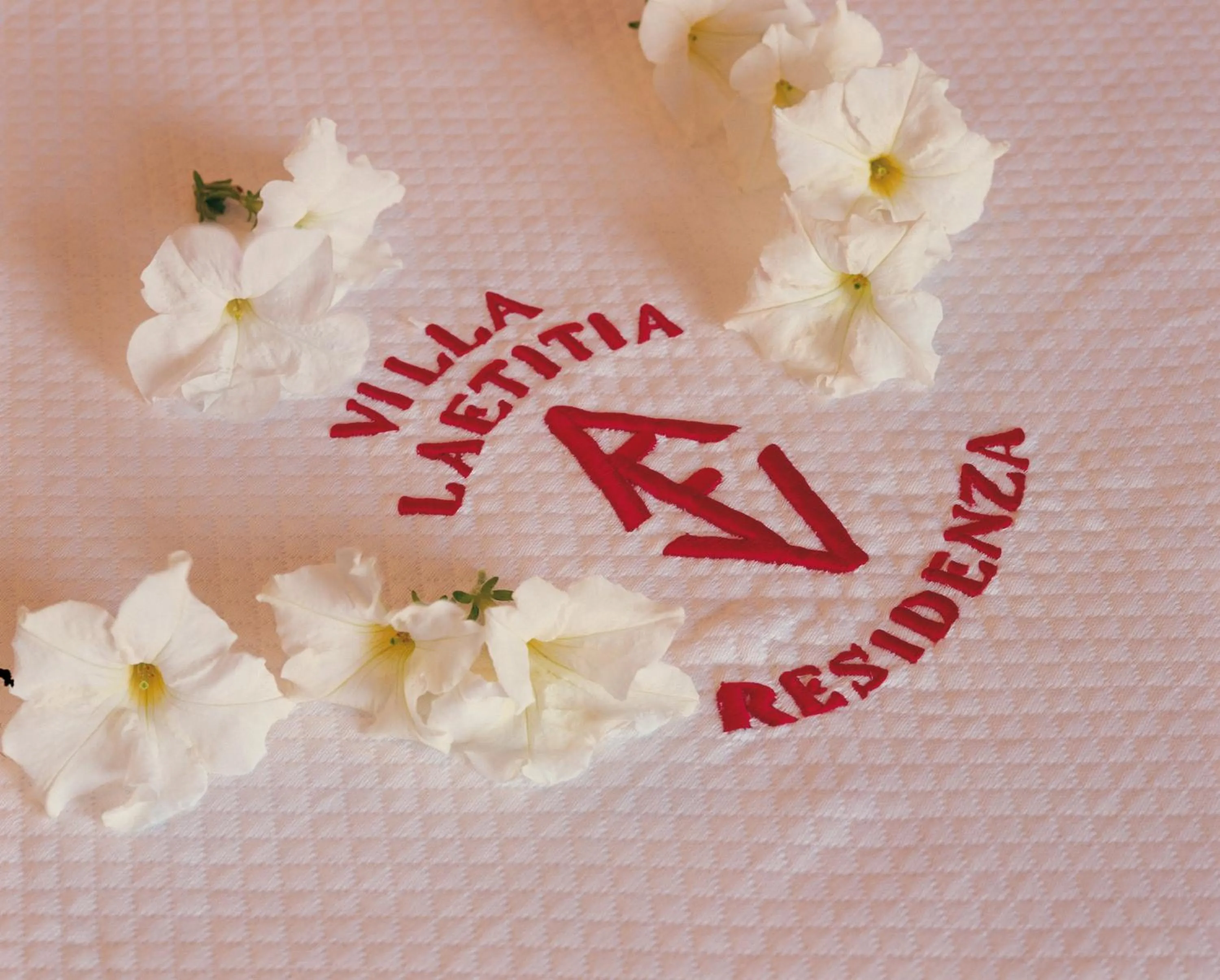 Decorative detail in Villa Laetitia