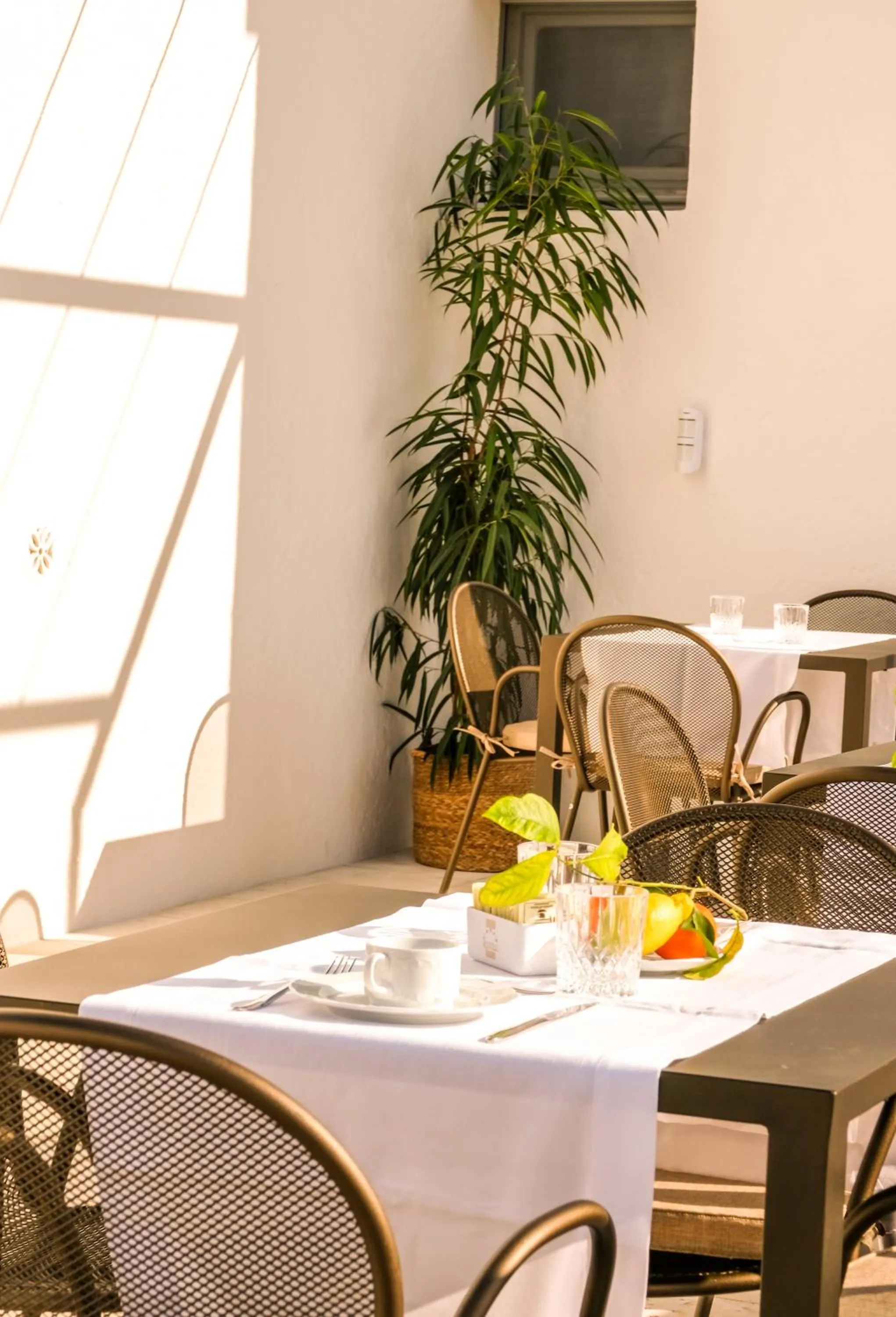 Breakfast in Masseria D'Erchia