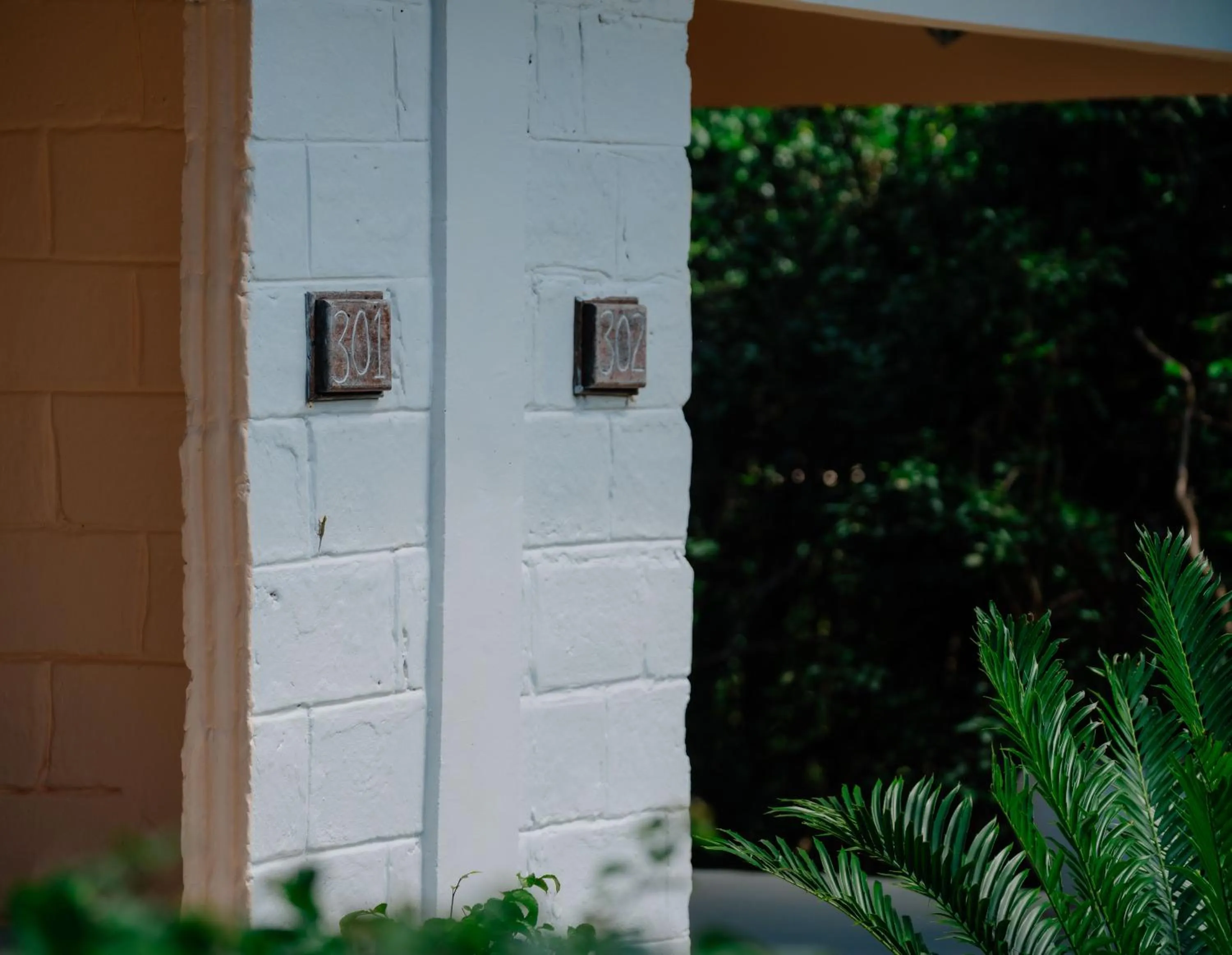 Property building in Pearl Beach by Sansi