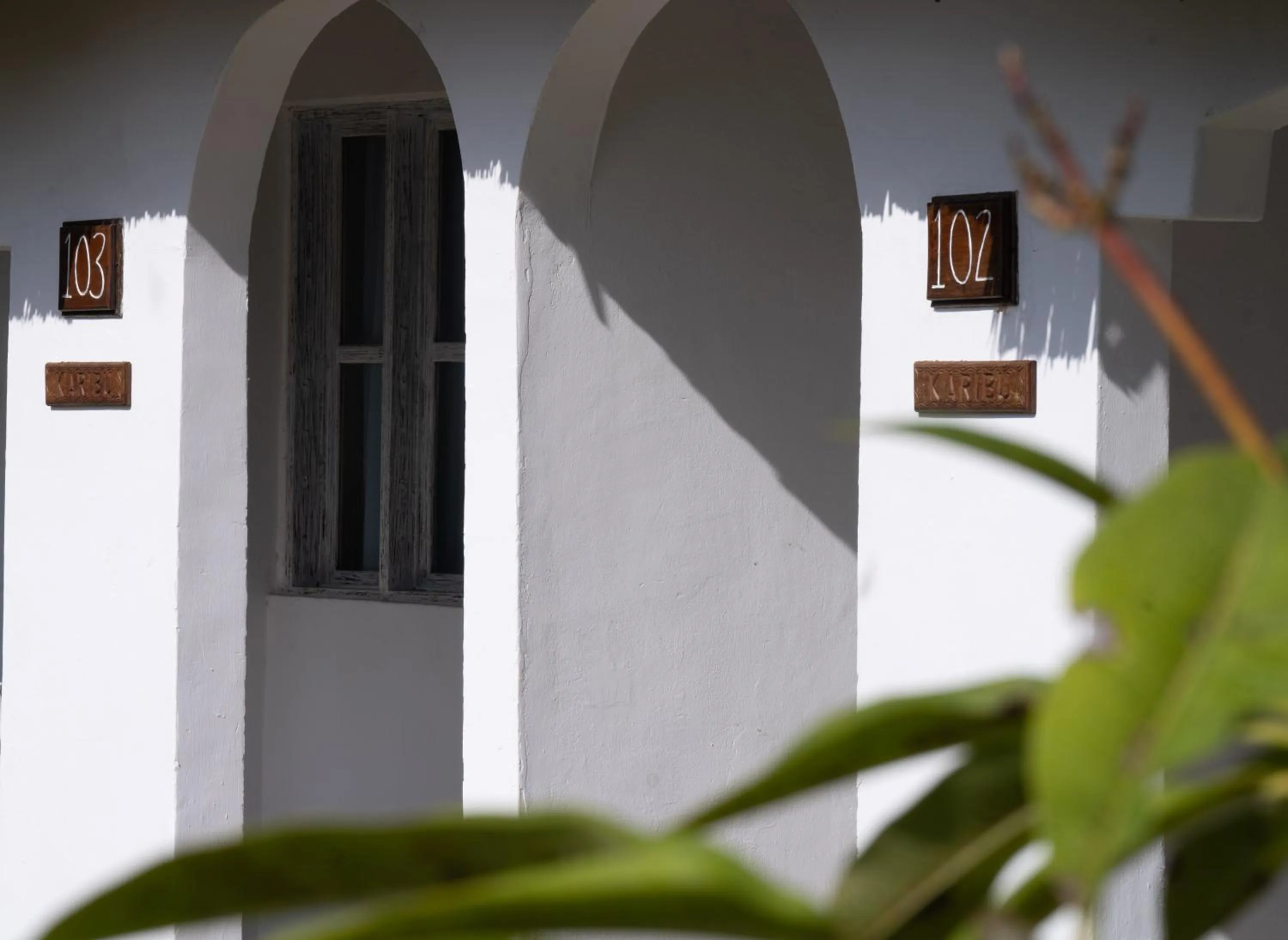 Property building in Pearl Beach by Sansi