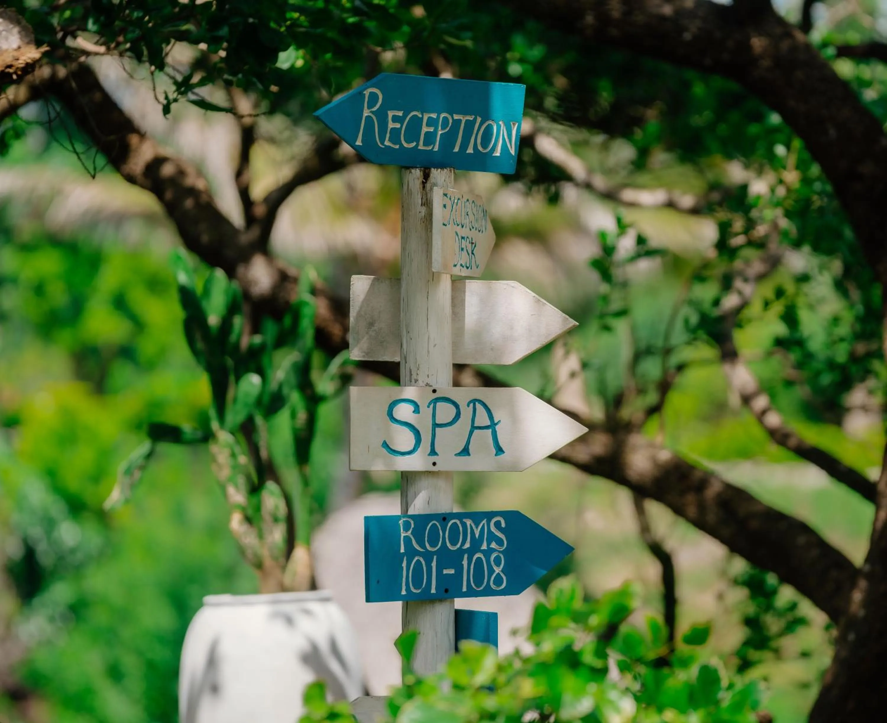 Pearl Beach by Sansi