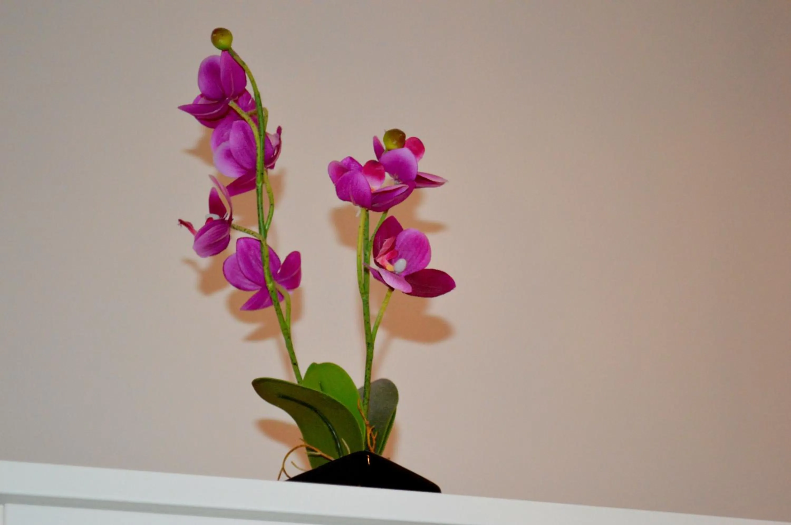 Decorative detail in Check-Inn Rooms