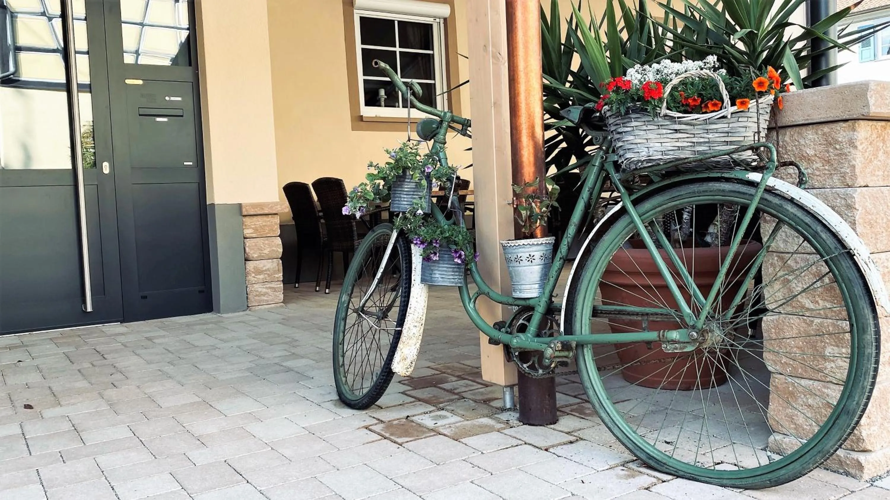 Activities in Hotel Engel