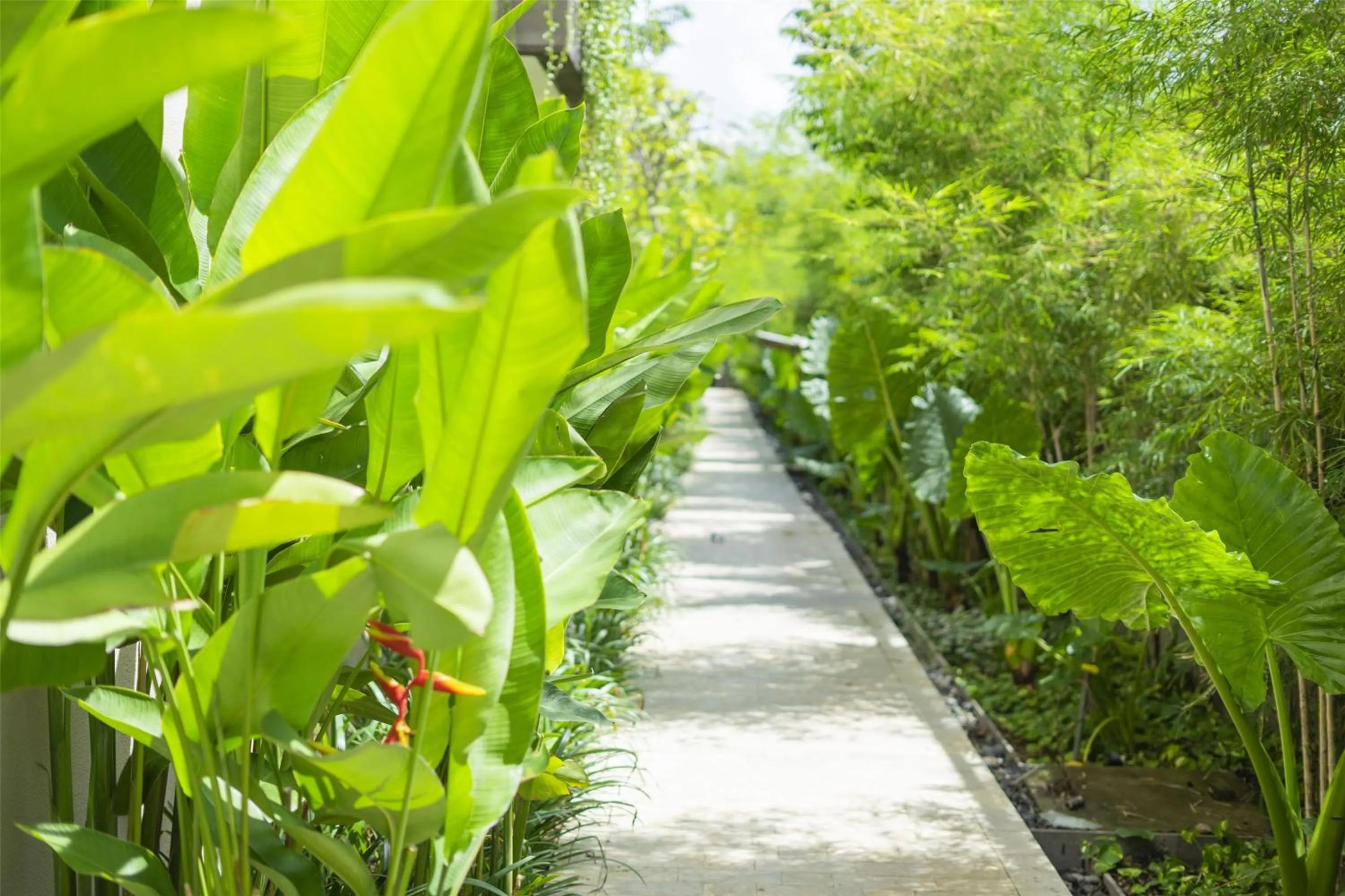 Property building in Andaz Bali, By Hyatt