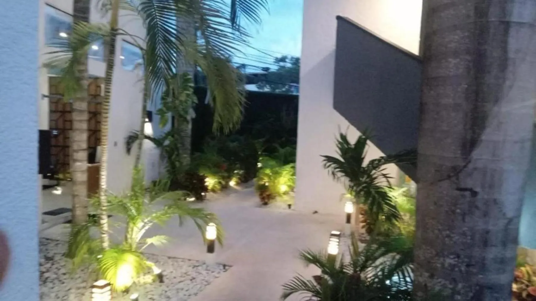 Garden view in Seven Boutique Apartments Cancún