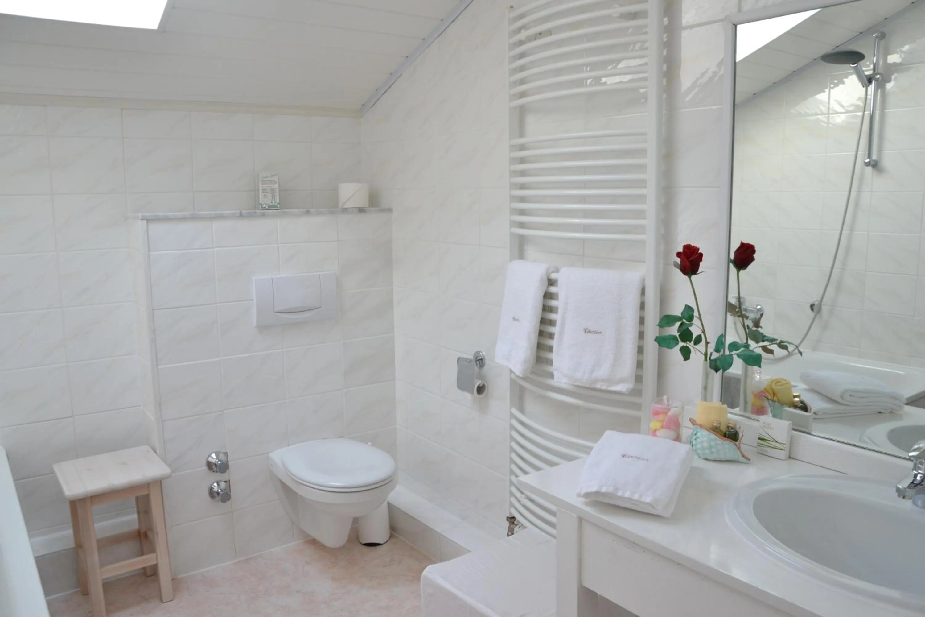 Shower in Christian Gartenhotel