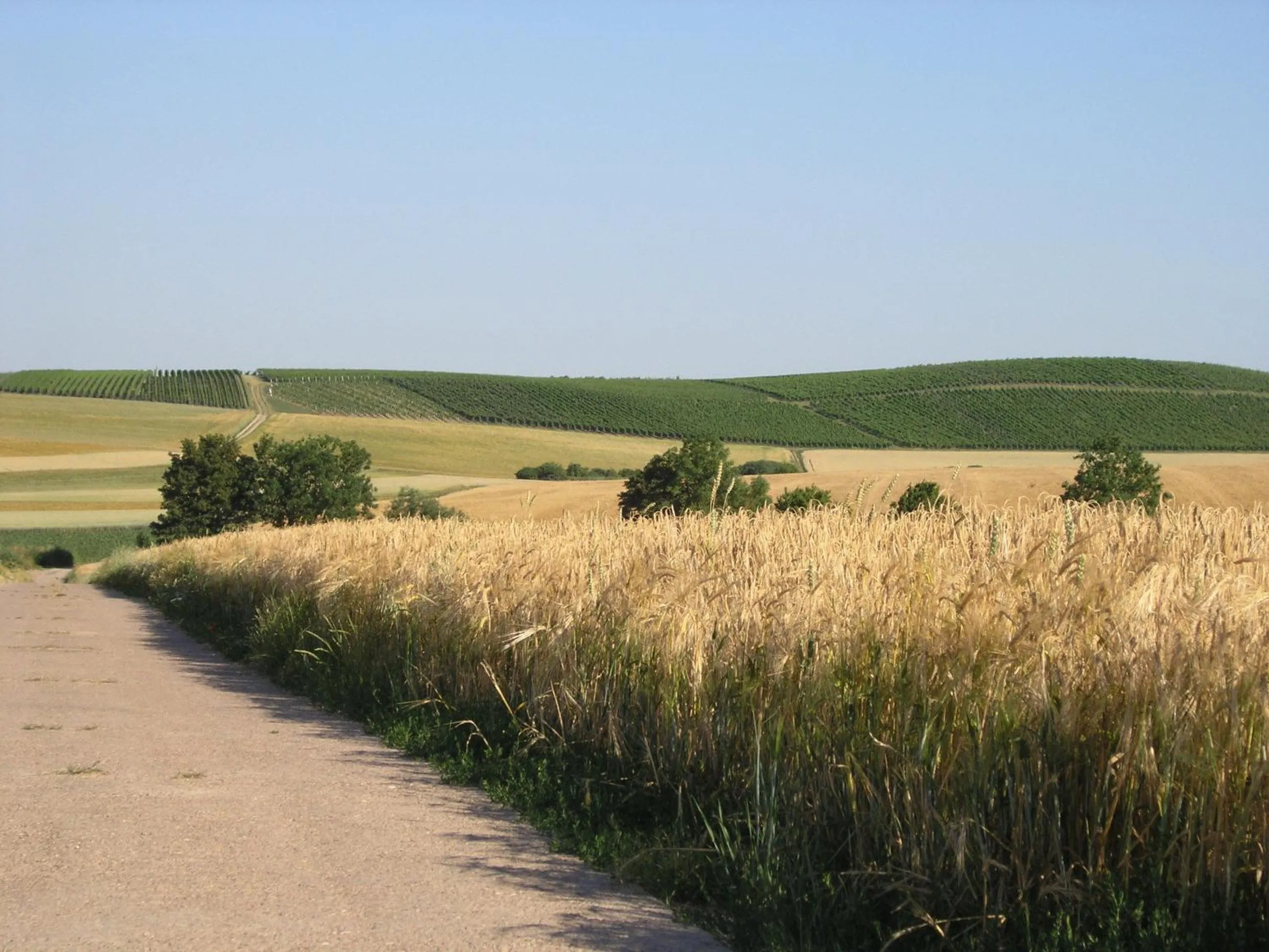 Natural landscape in Christian Gartenhotel