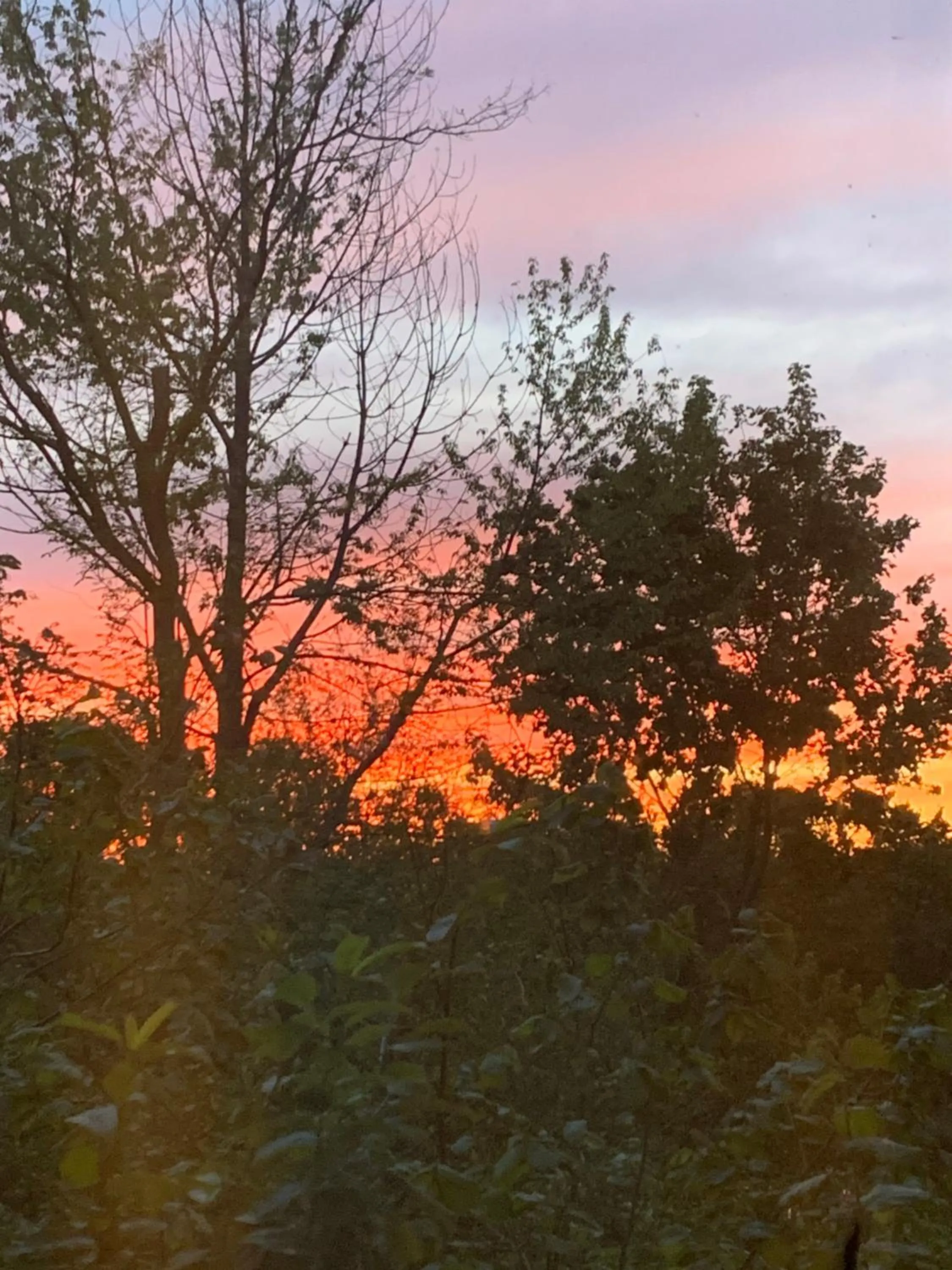 View (from property/room) in Christian Gartenhotel