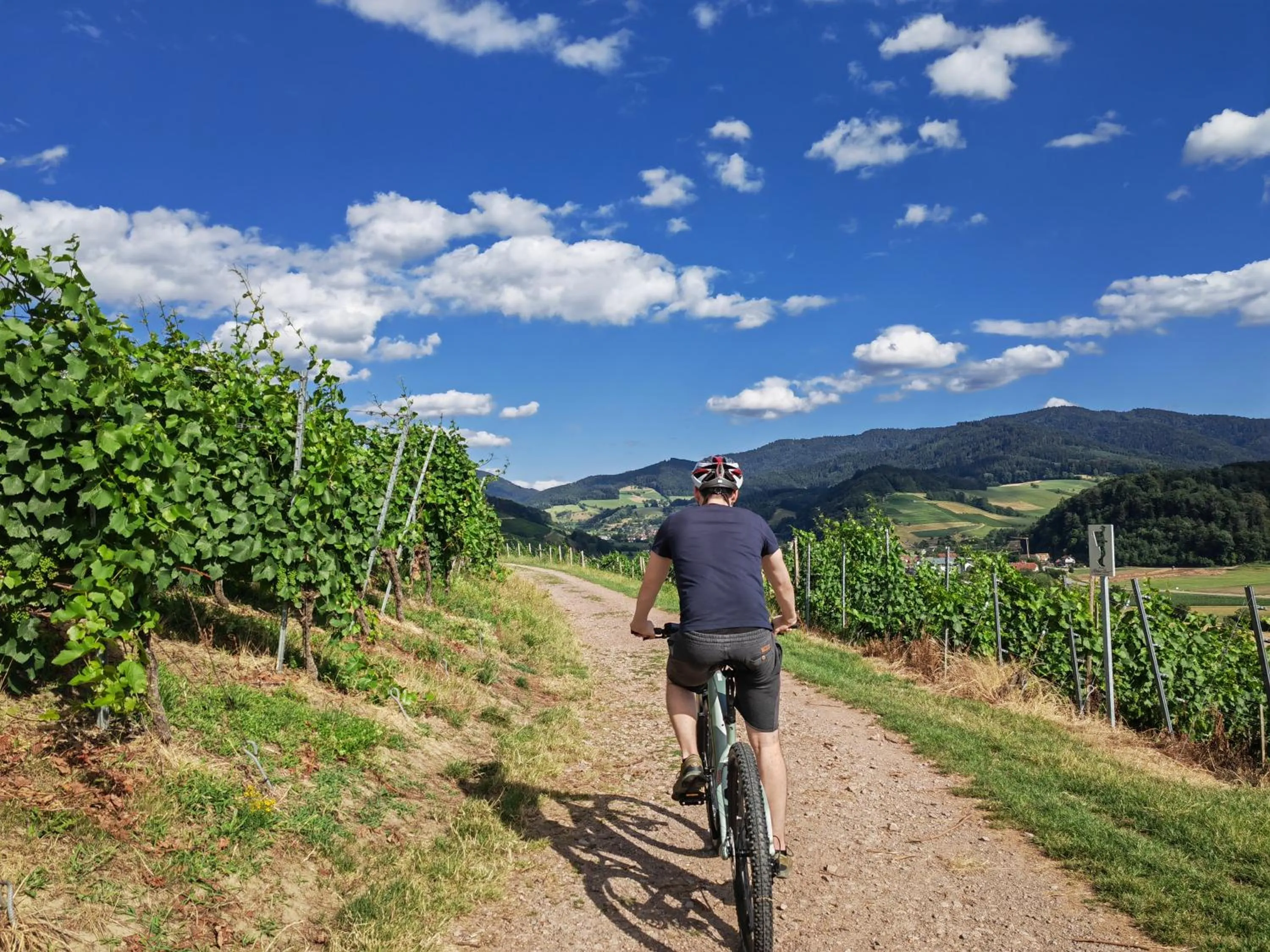 Cycling in Hotel Suggenbad
