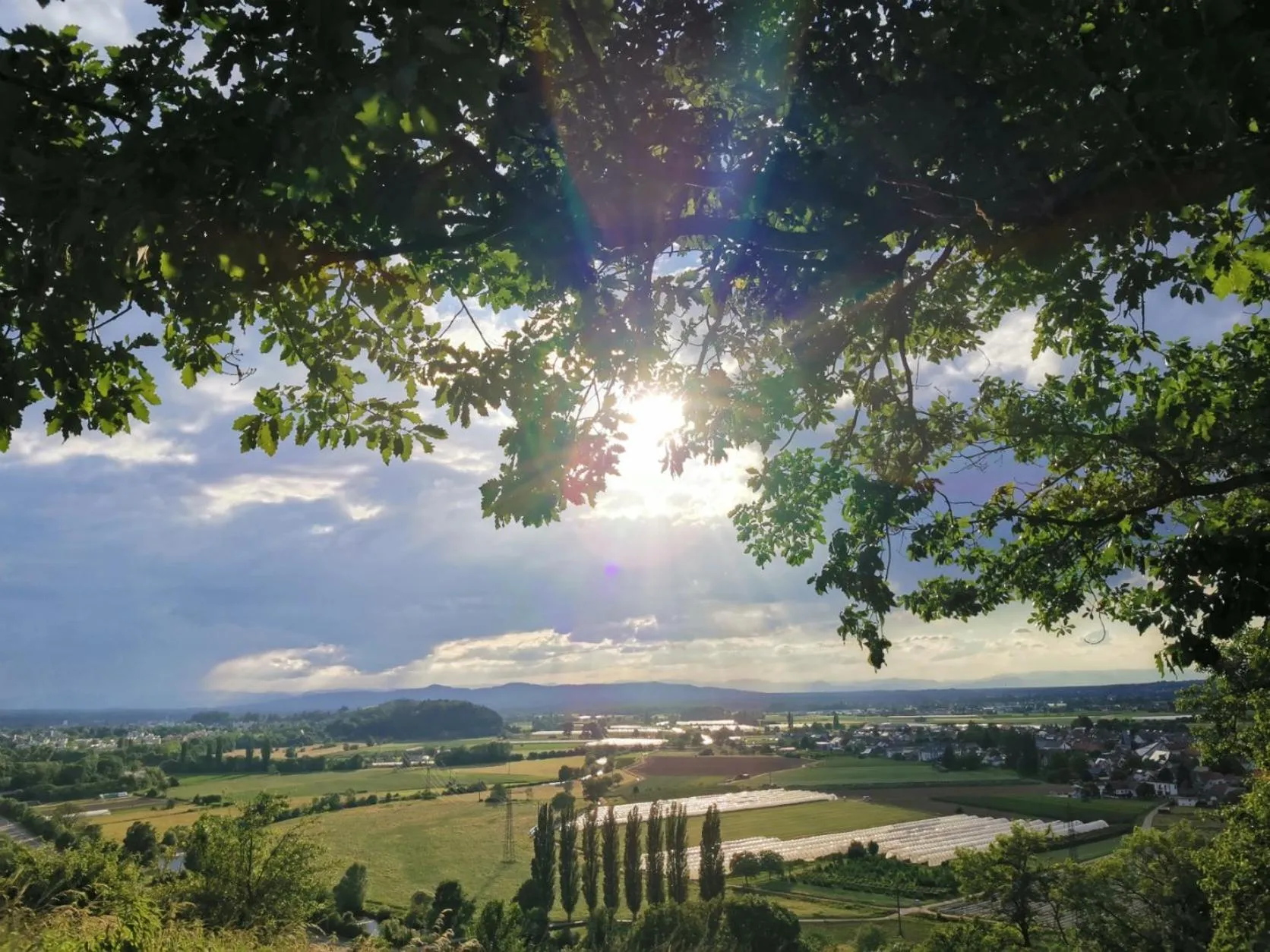 Natural landscape in Hotel Suggenbad