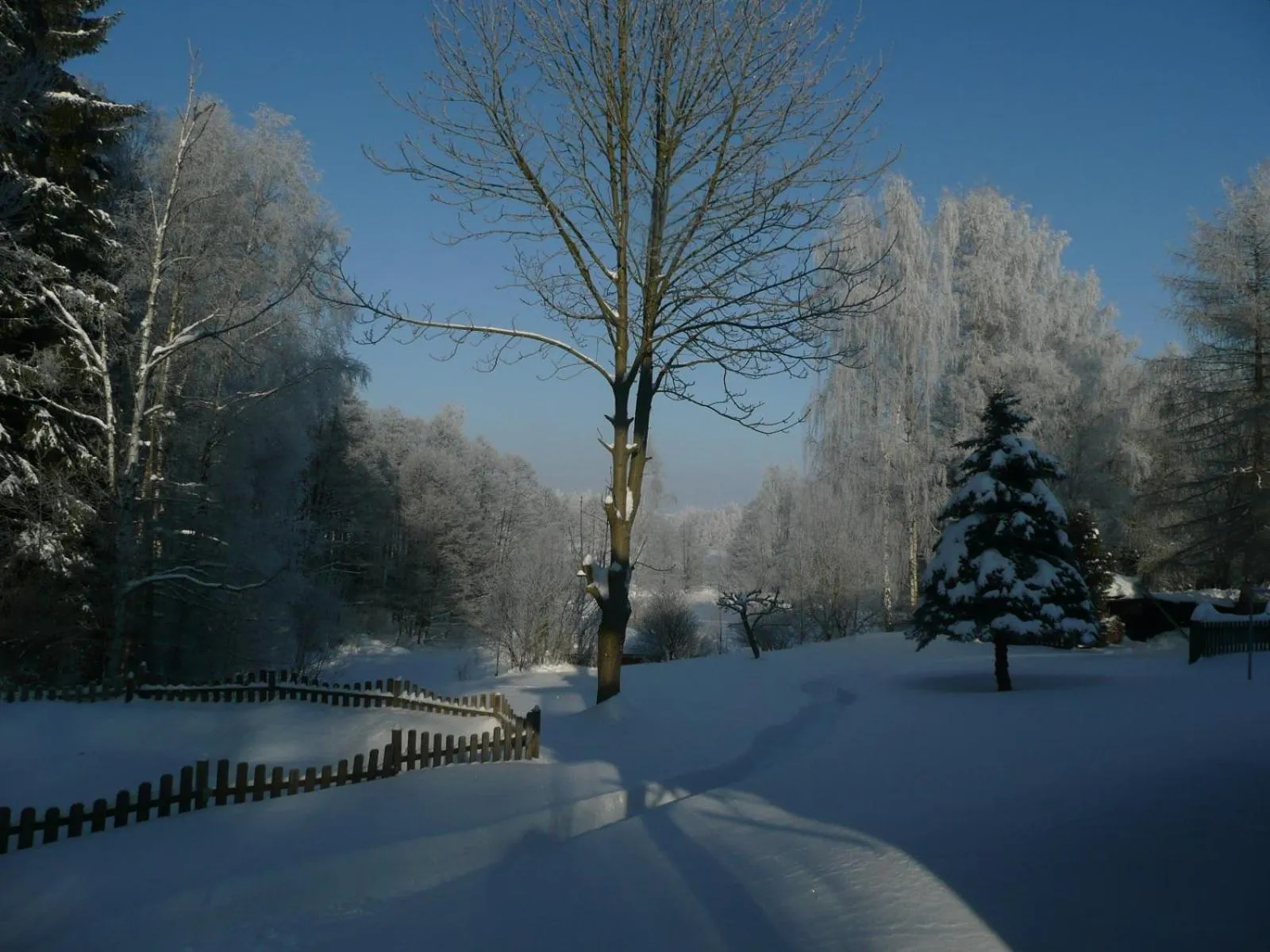 Winter in Landhaus Am Forst