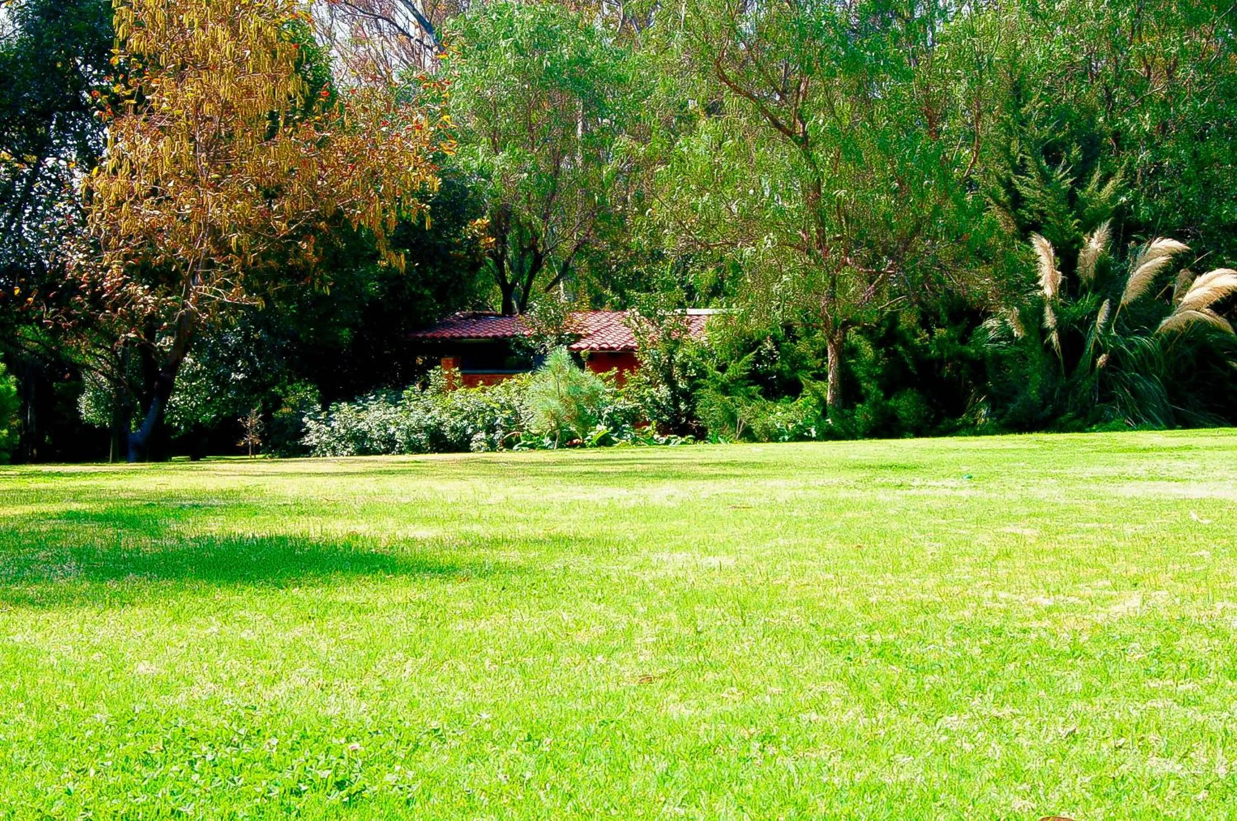 Natural landscape in Hotel Boutique Rancho San Juan Teotihuacan