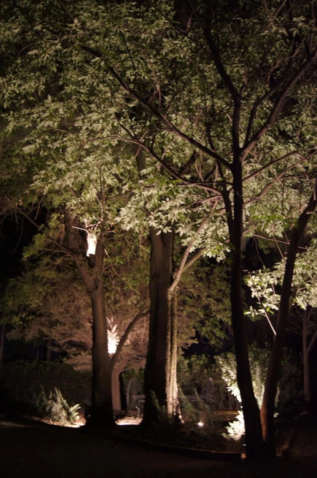 Natural landscape in Hotel Boutique Rancho San Juan Teotihuacan