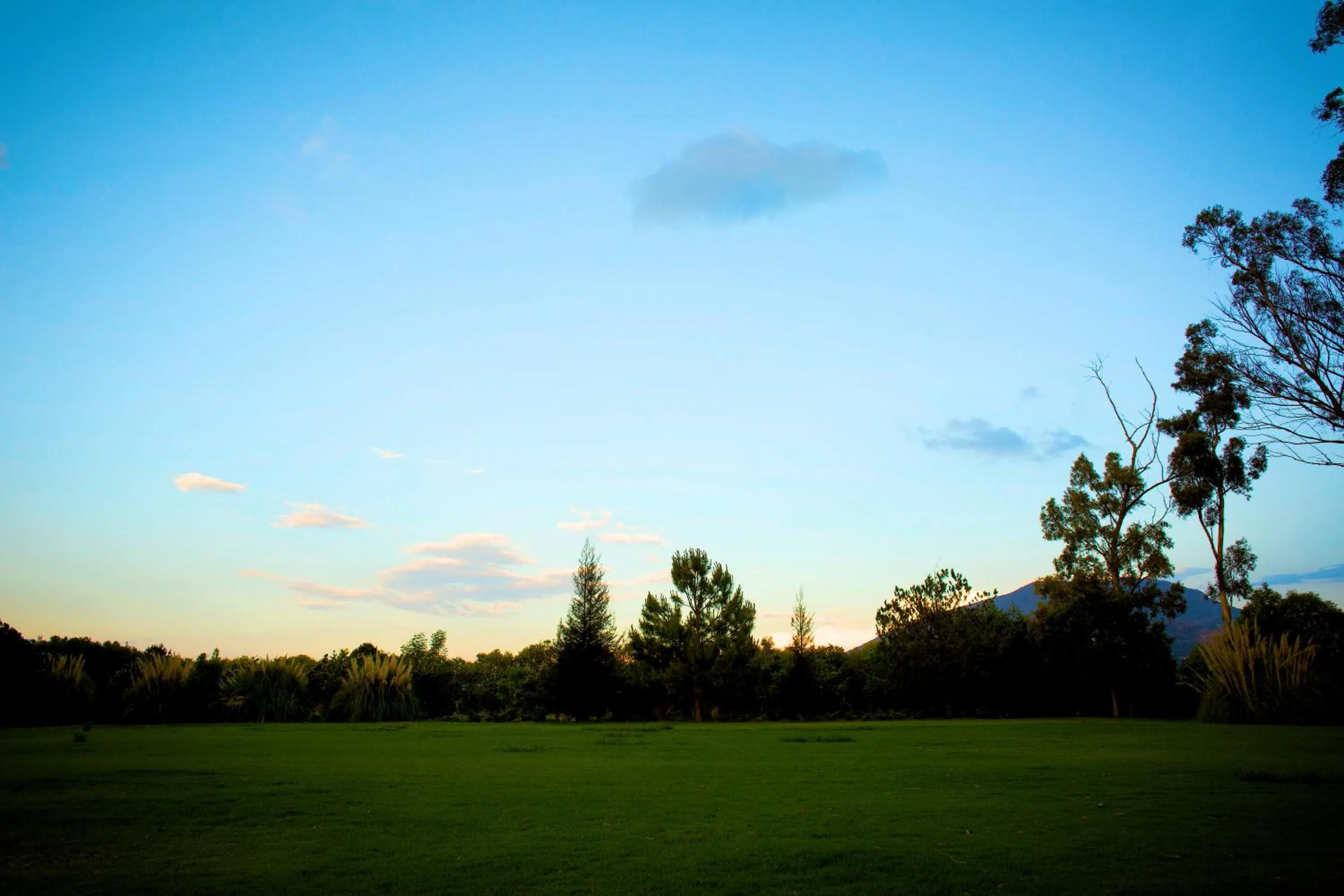 Natural landscape in Hotel Boutique Rancho San Juan Teotihuacan