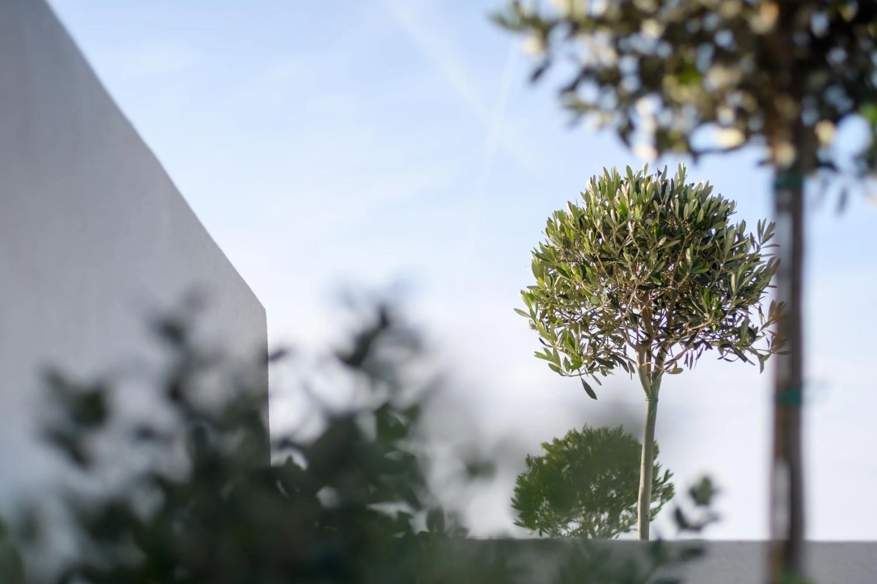 Property building in Potnia Theron Suites