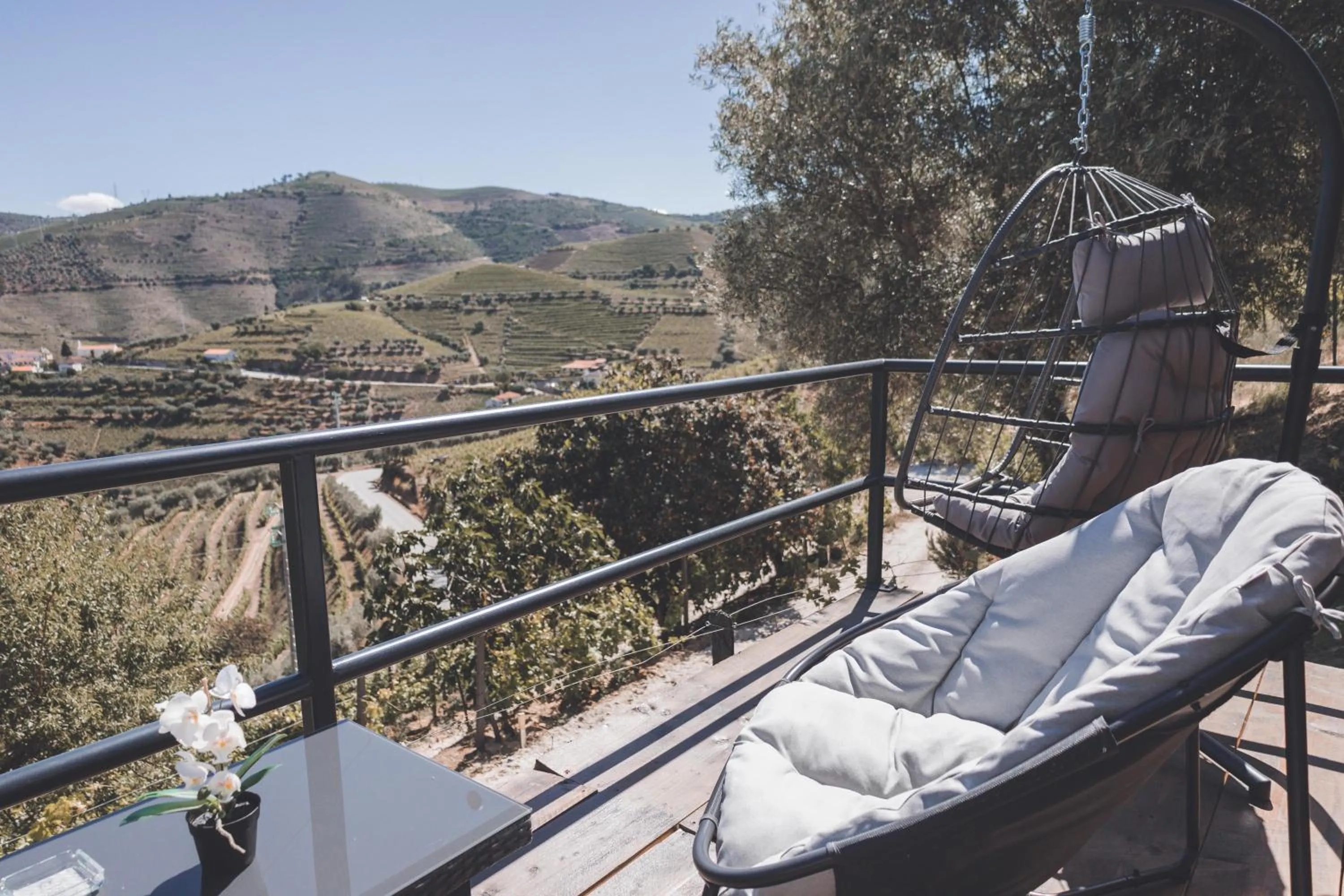 View (from property/room) in Quinta da Portela Douro