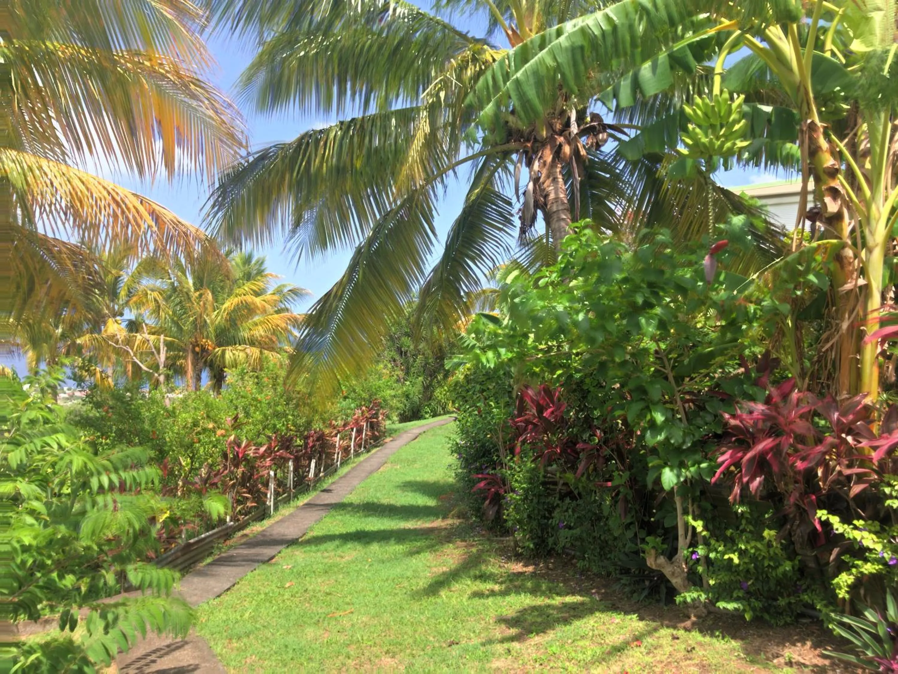 Garden in Résidence Paradis Tropical