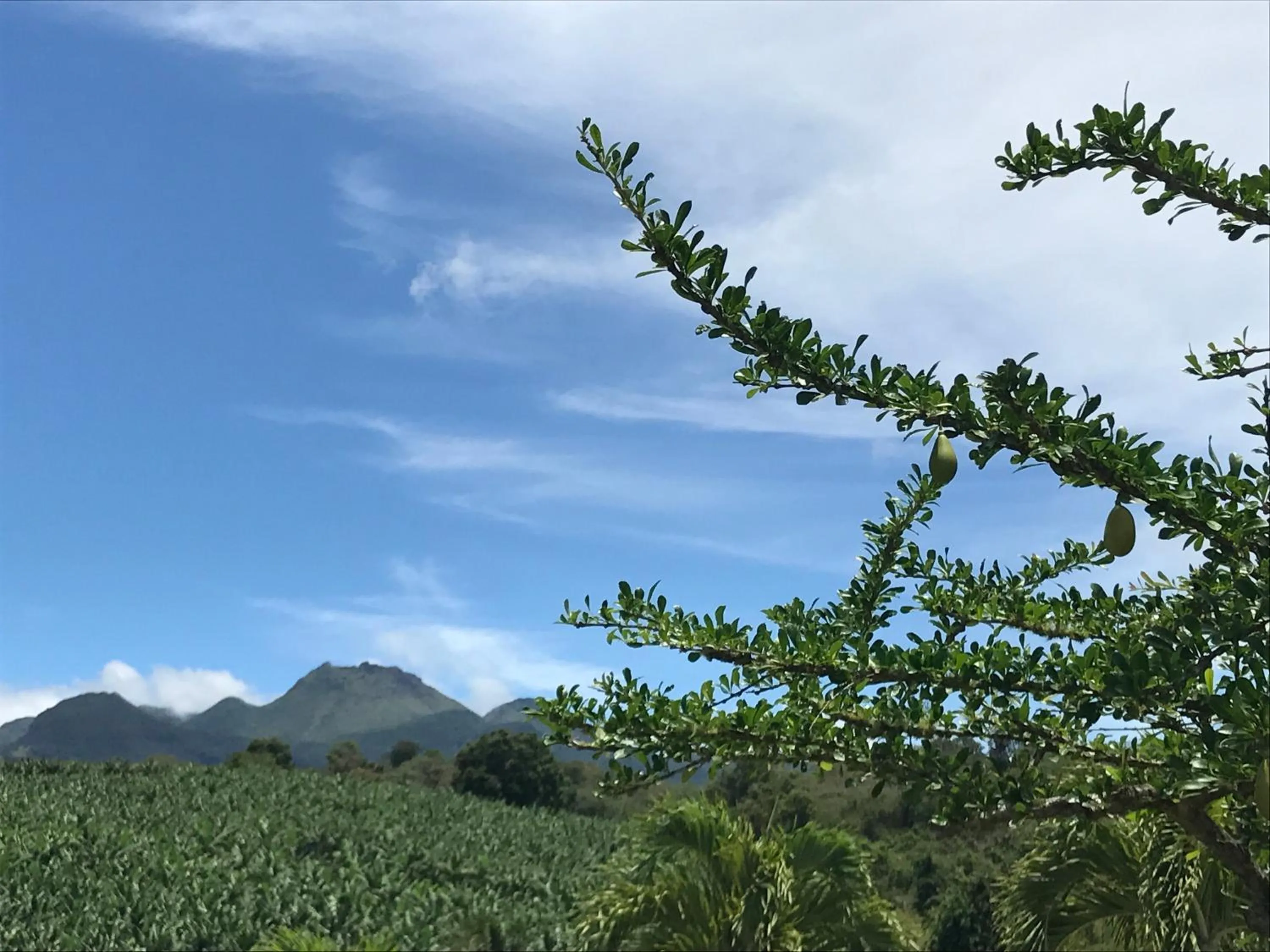 Mountain view in Résidence Paradis Tropical