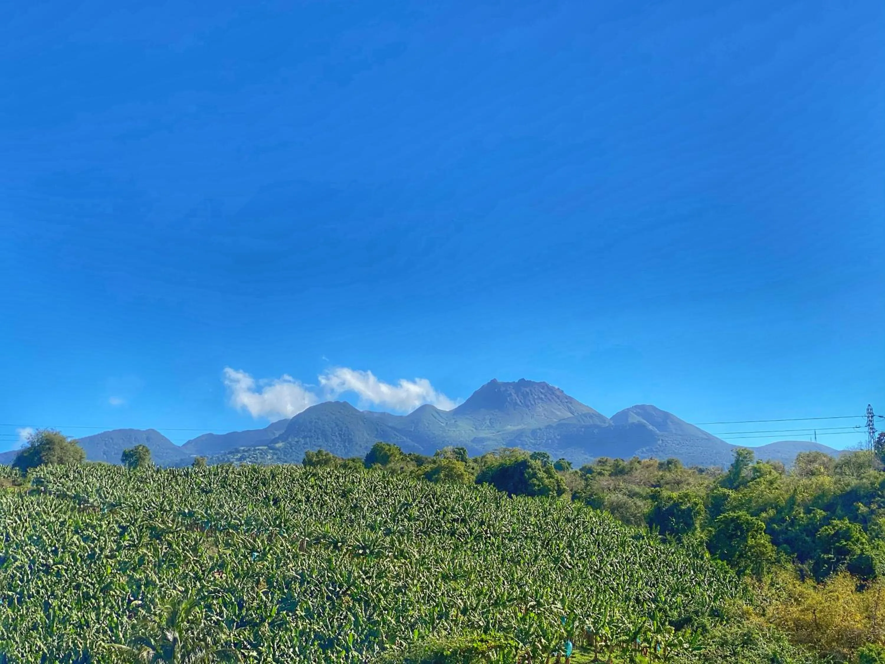 Natural landscape in Résidence Paradis Tropical
