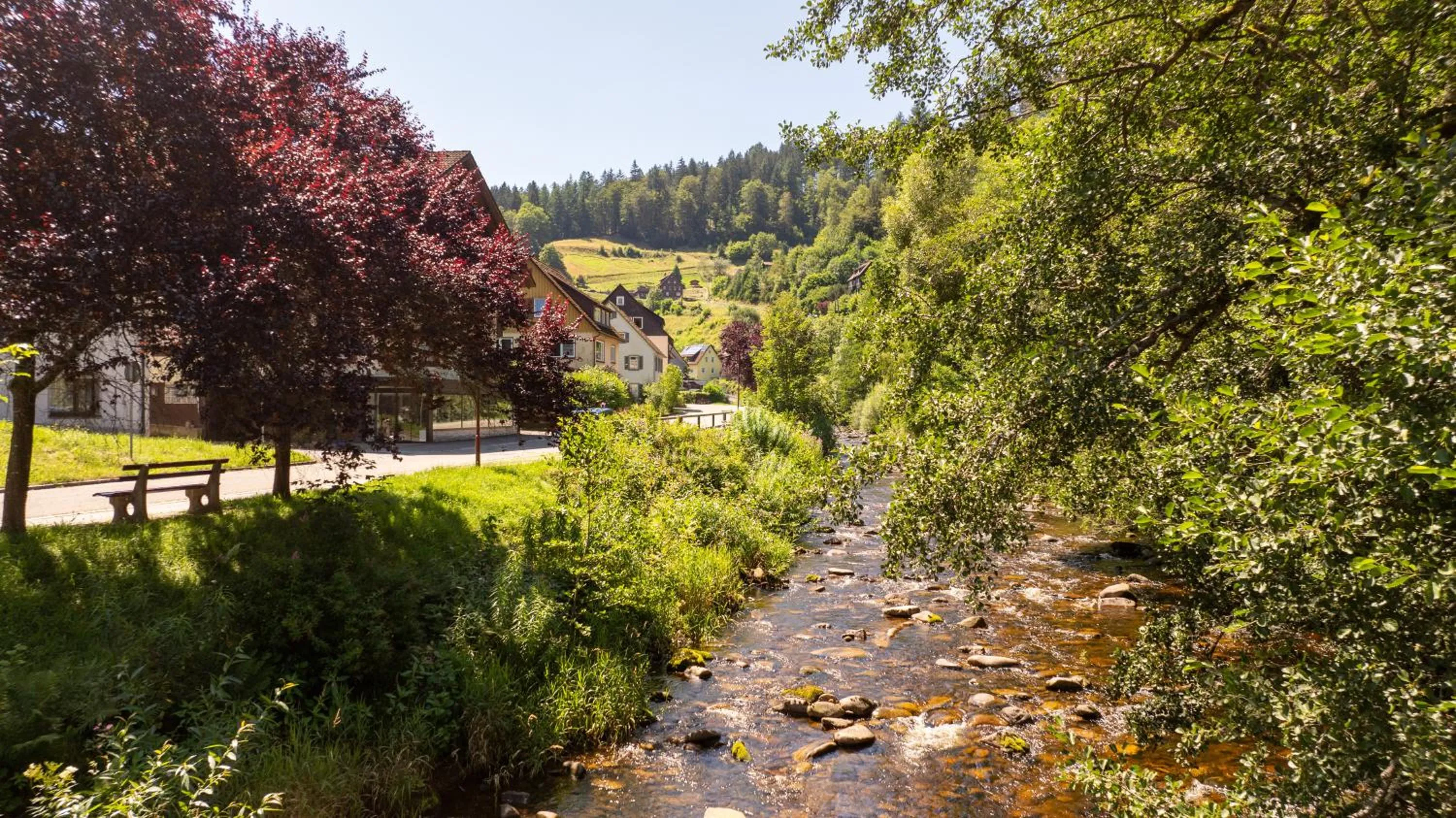Natural landscape in Ringhotel Sonnenhof