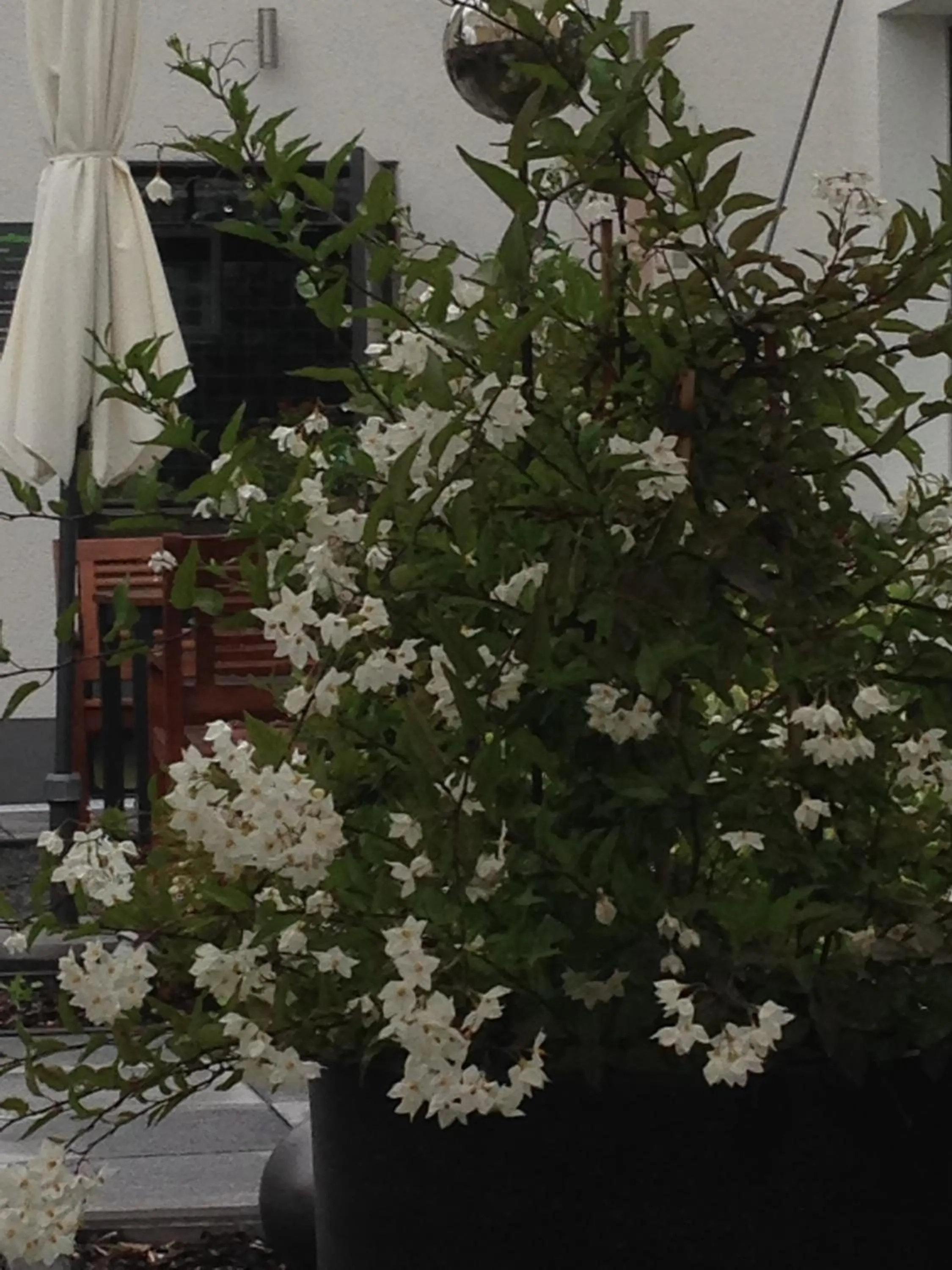 Other in WohnRaum Gäste- & Boardinghaus