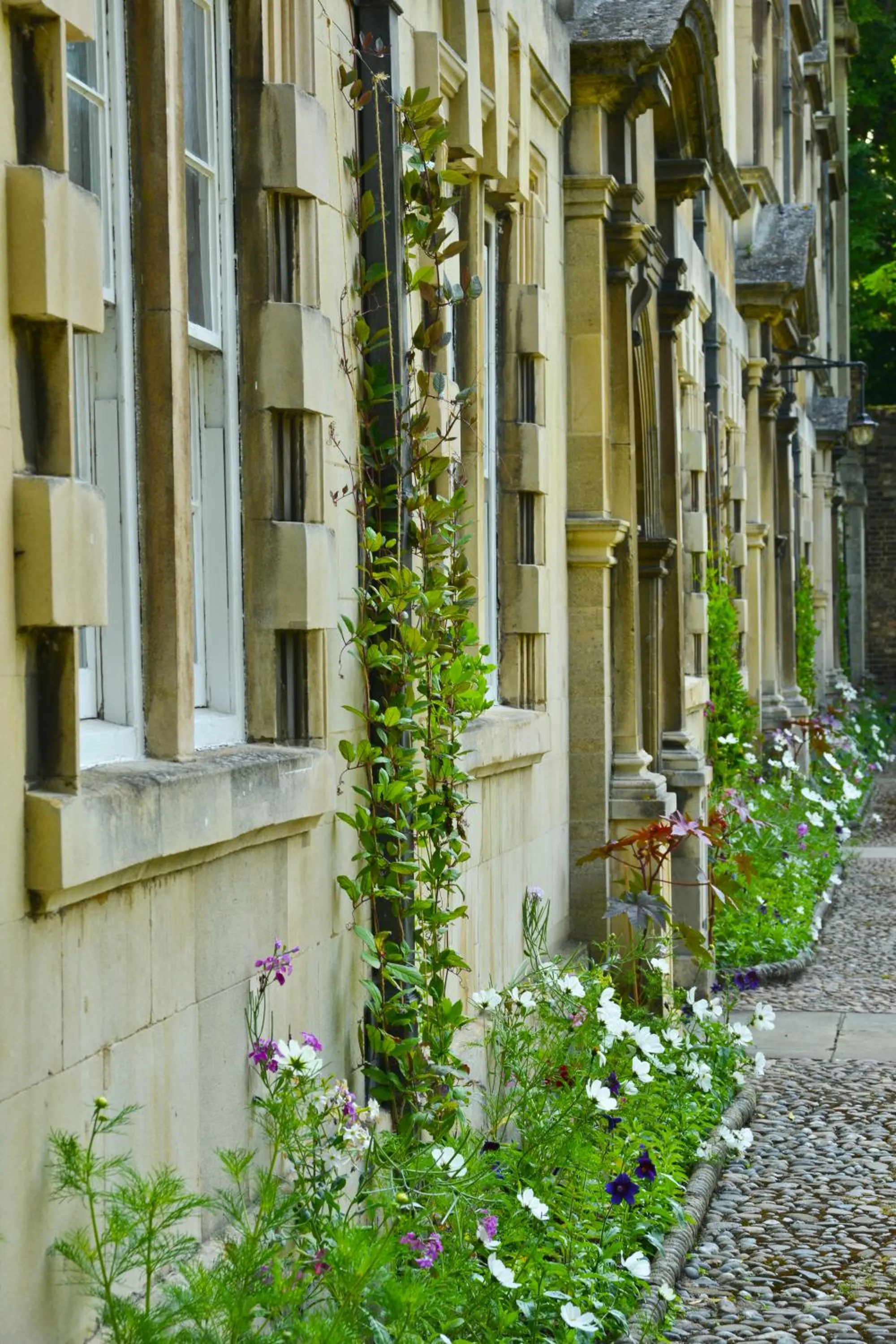 Garden in Christ's College Cambridge