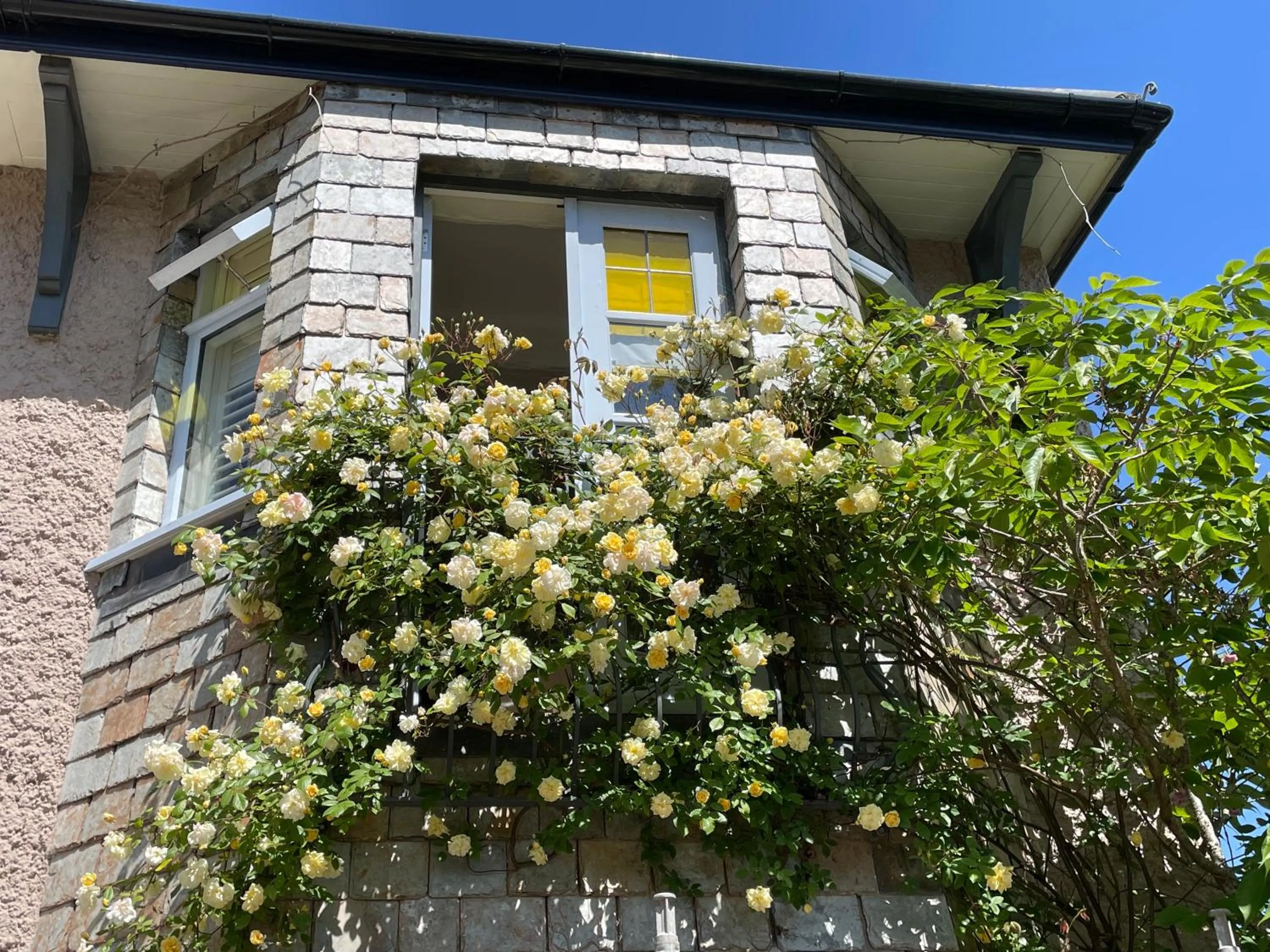 Property building in Bradleigh Lodge