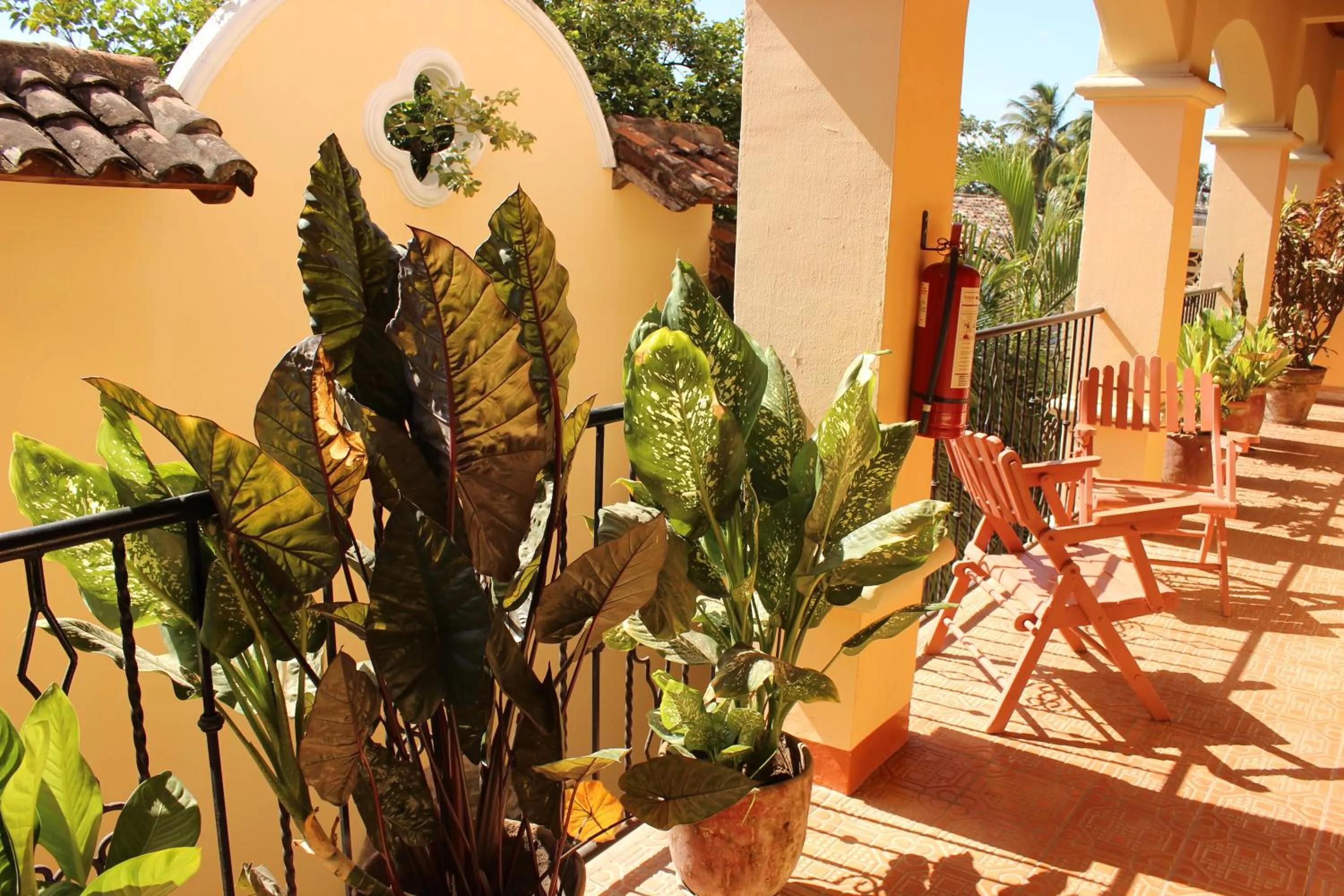 Decorative detail in Hotel Casa San Francisco