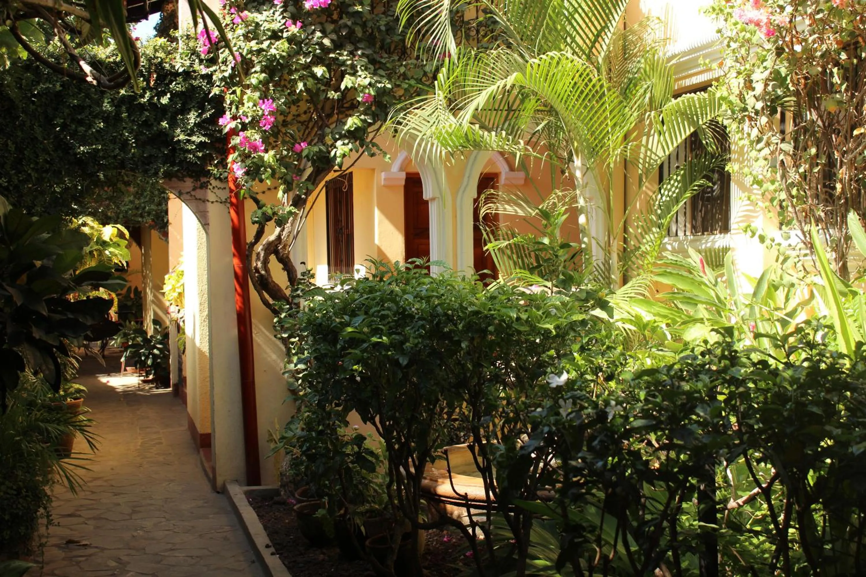 Garden in Hotel Casa San Francisco