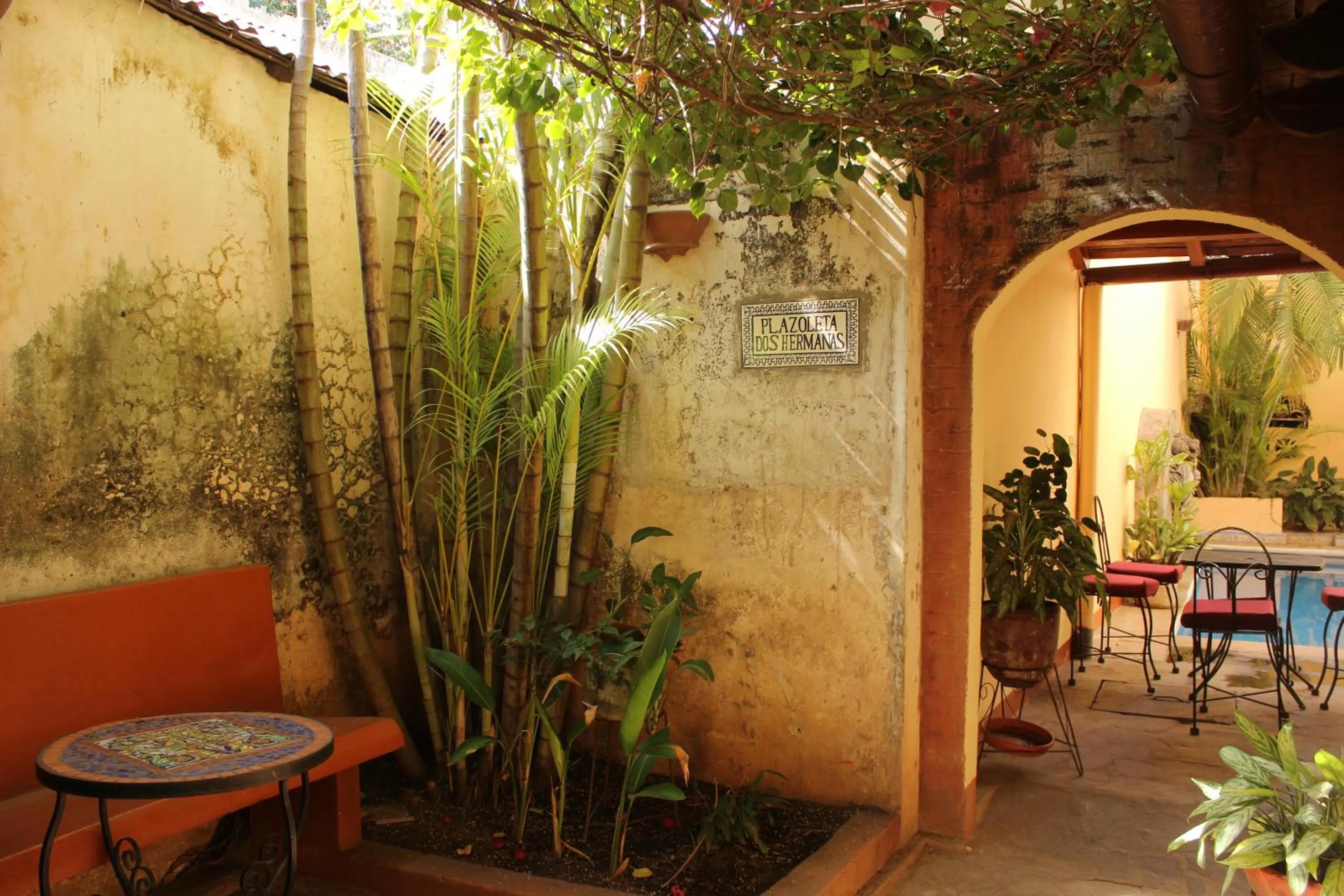 Garden in Hotel Casa San Francisco