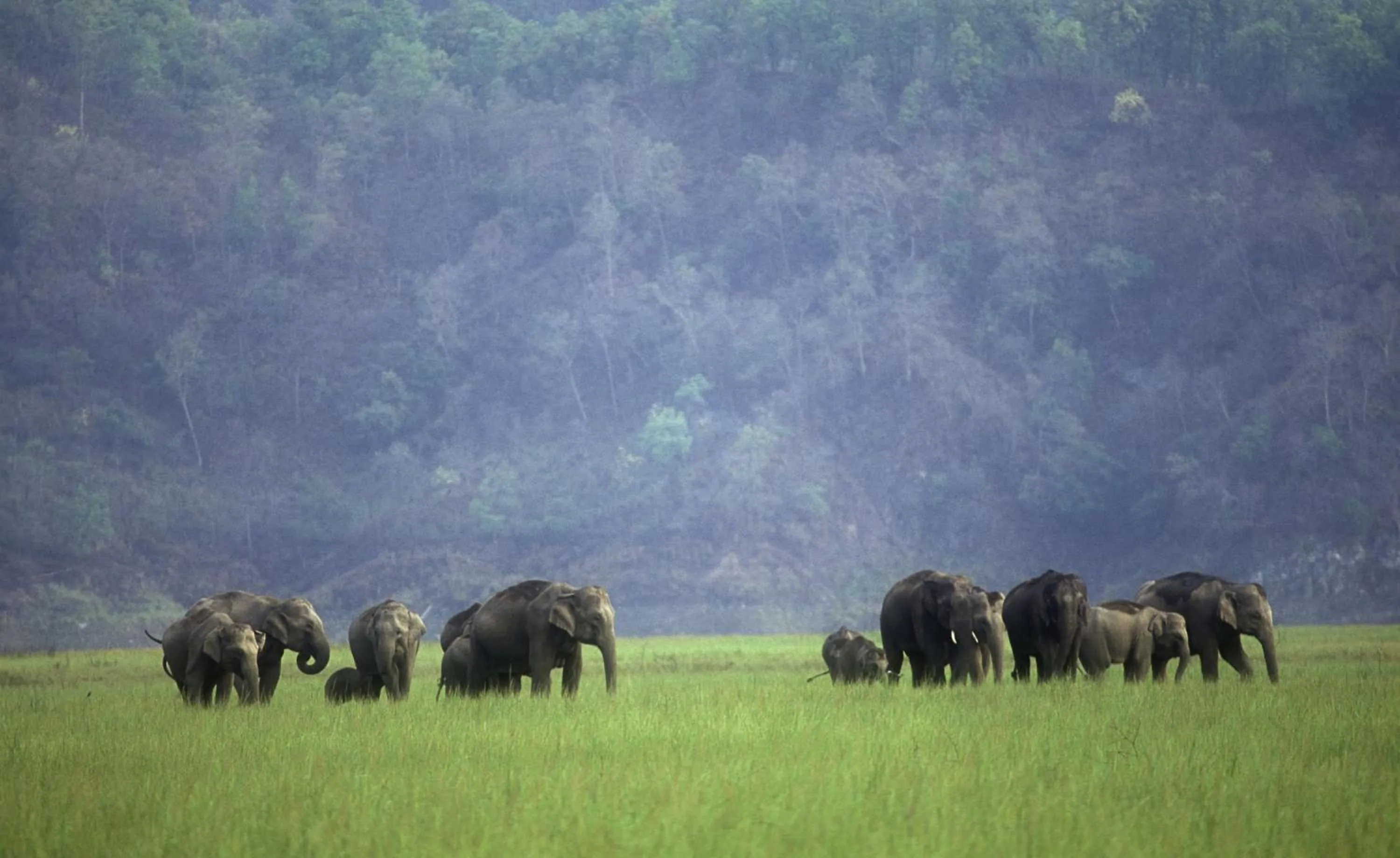 Nearby landmark in Radisson Blu Hotel Rudrapur