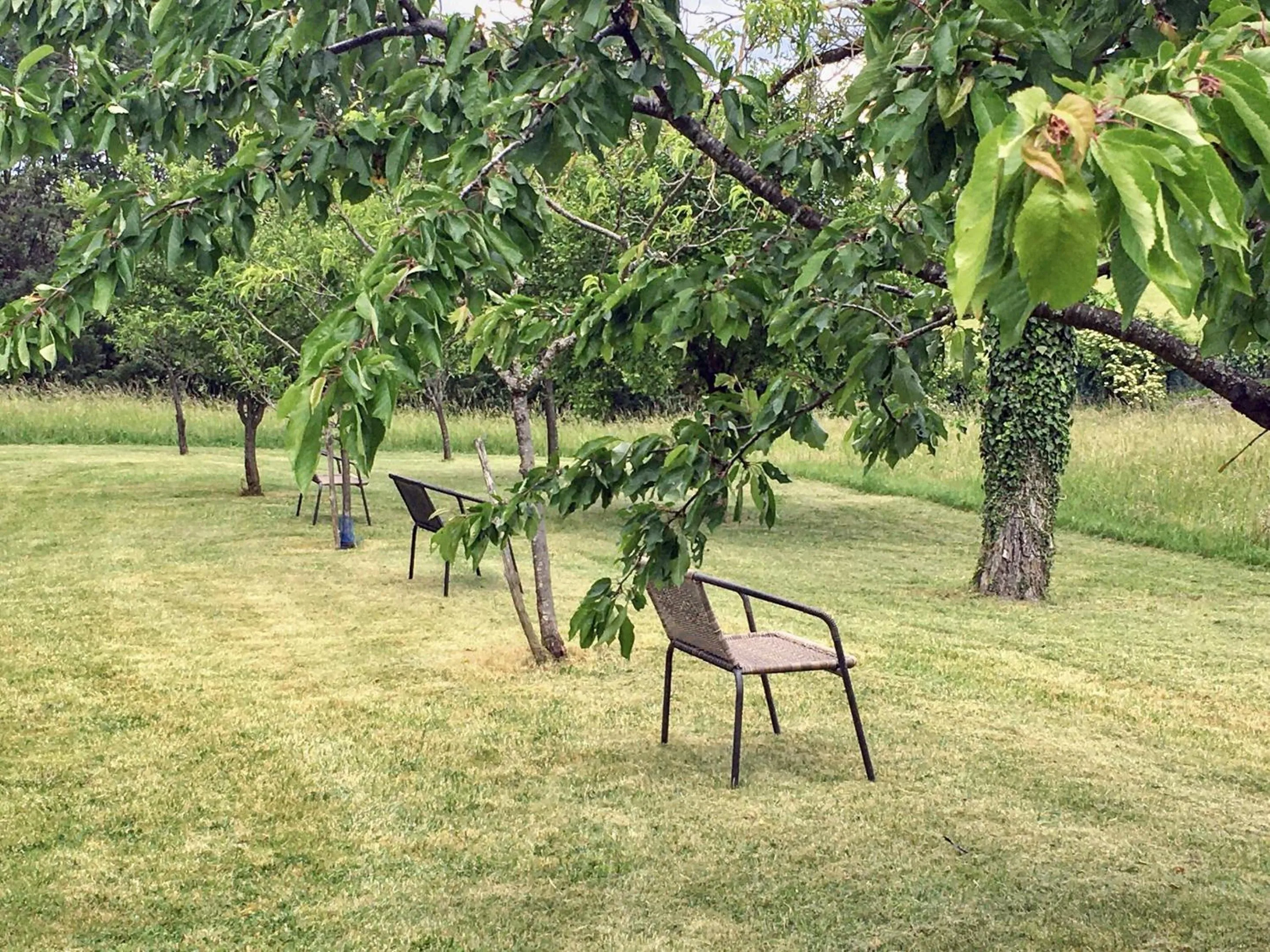 Property building in Auberge d'ici et d'ailleurs