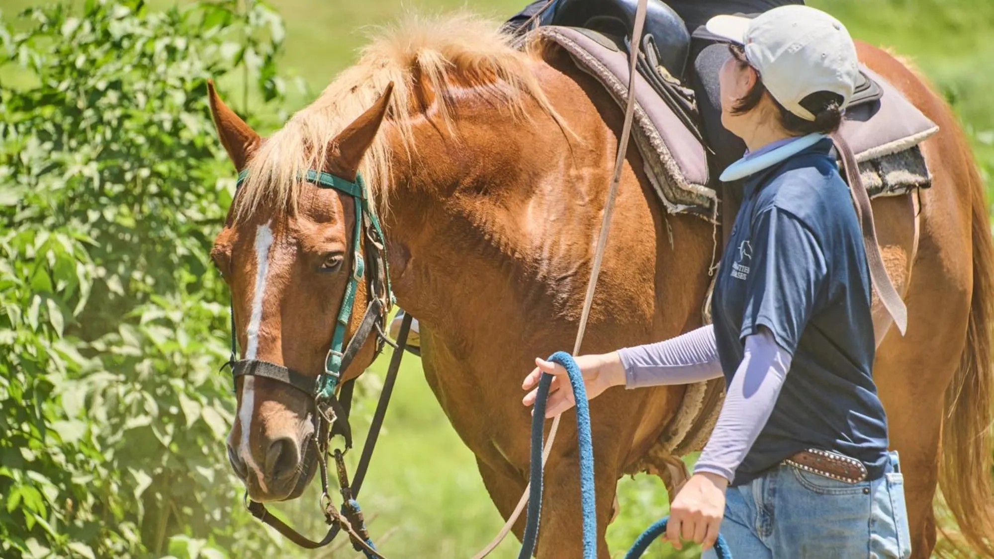 Horse-riding in El Patio Ranch