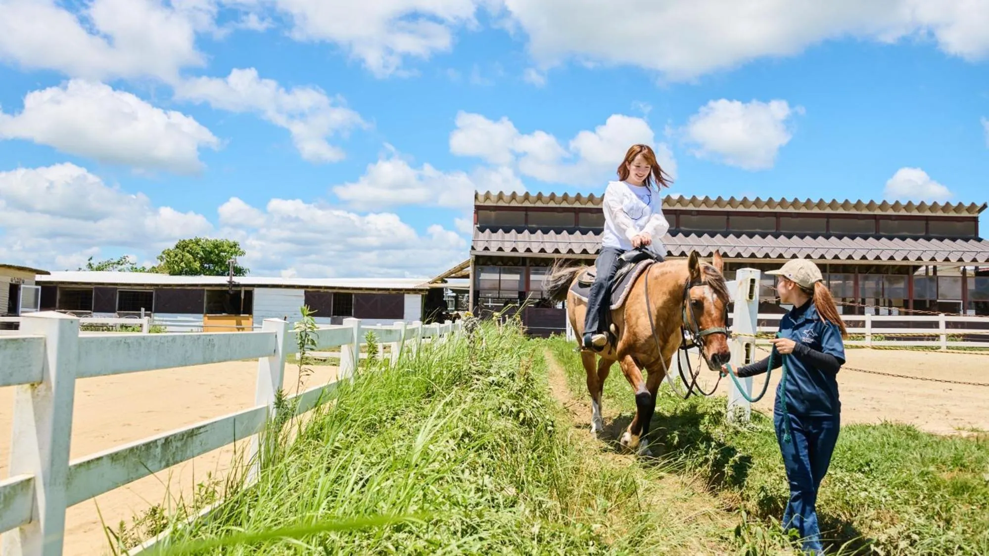 Horse-riding in El Patio Ranch