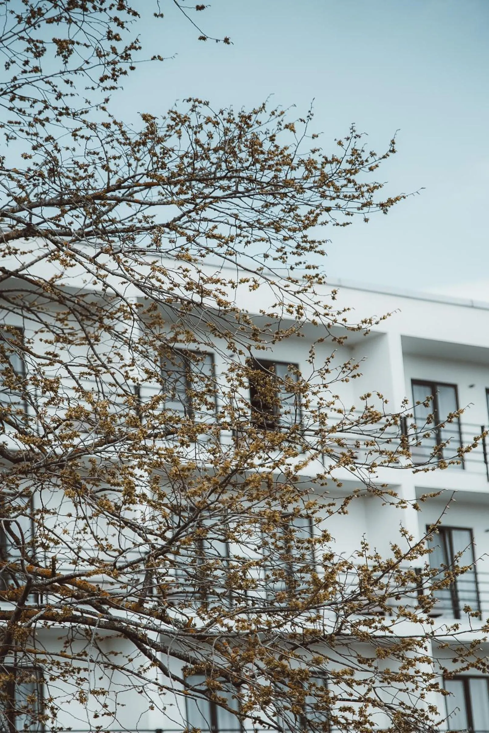 Property building in Ö Seaside Suites & SPA