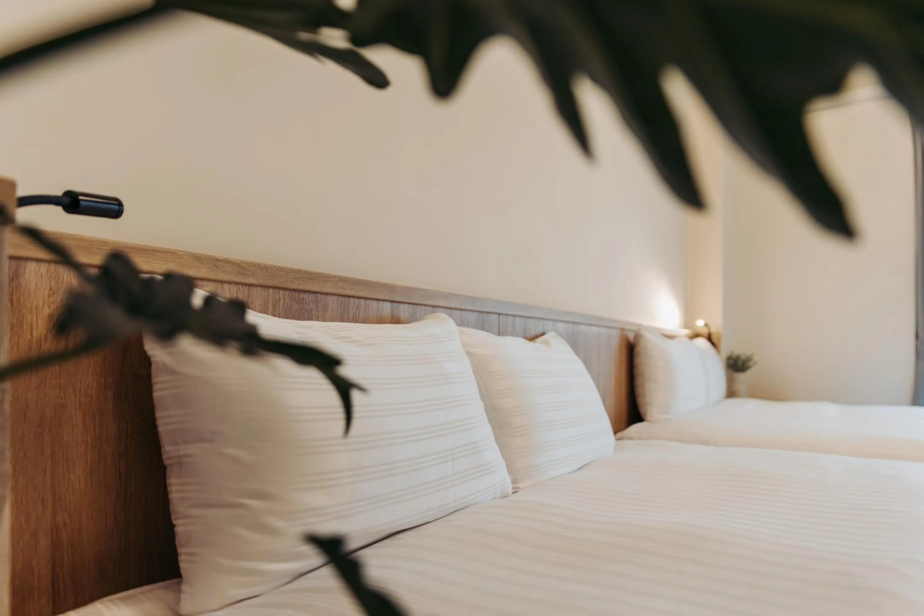 Bed in Meet Secret B&B