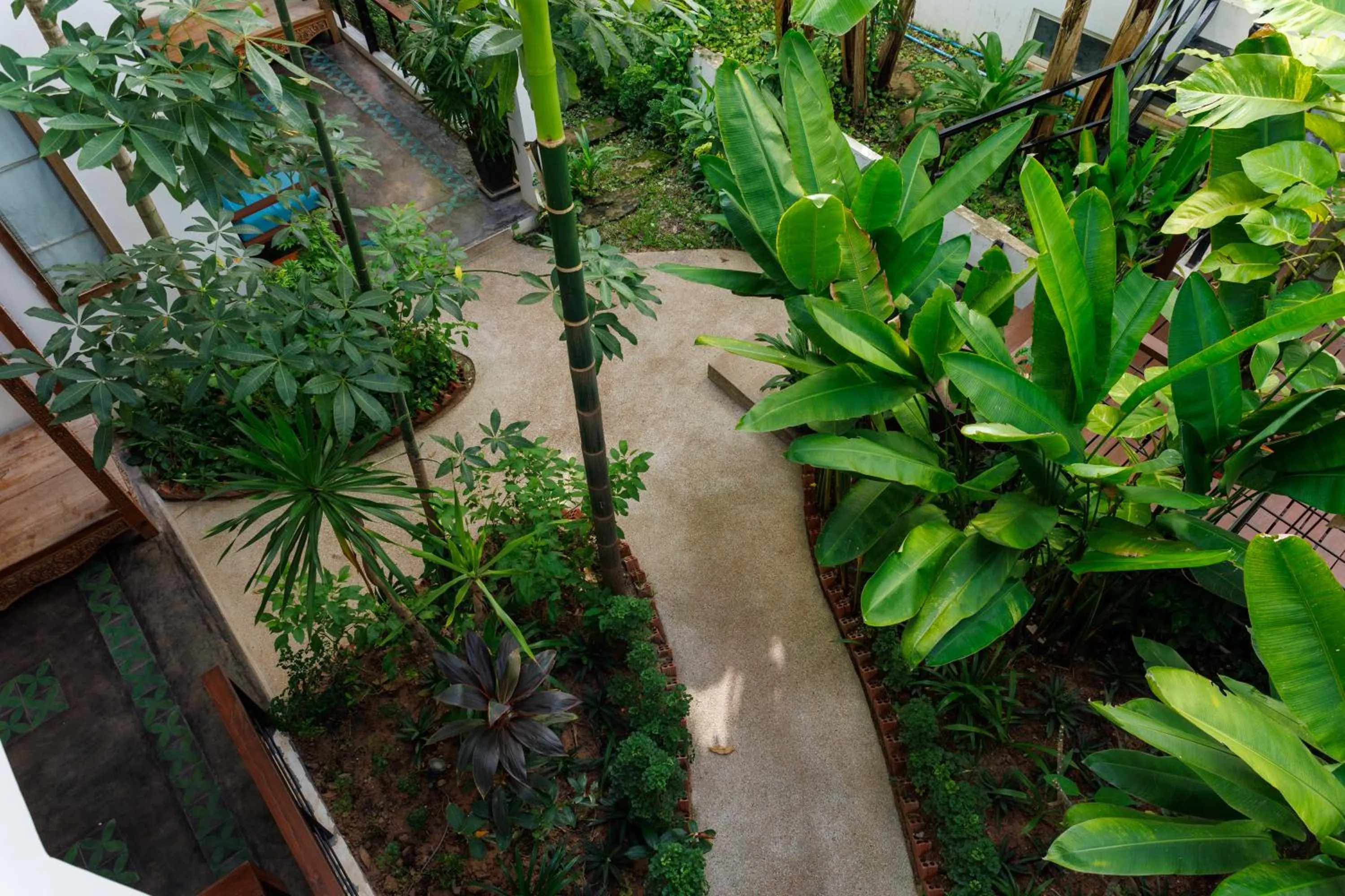 Garden in SAKABAN Suite