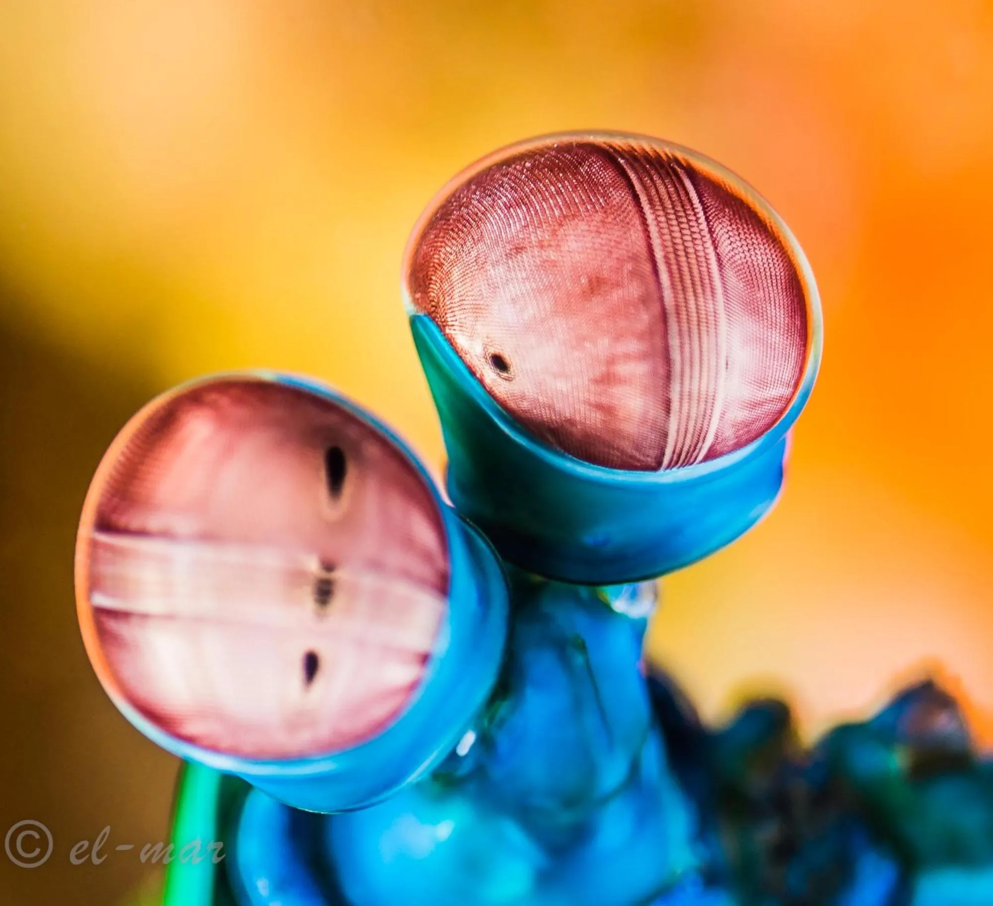 Diving in Kubu Indah Dive & Spa Resort