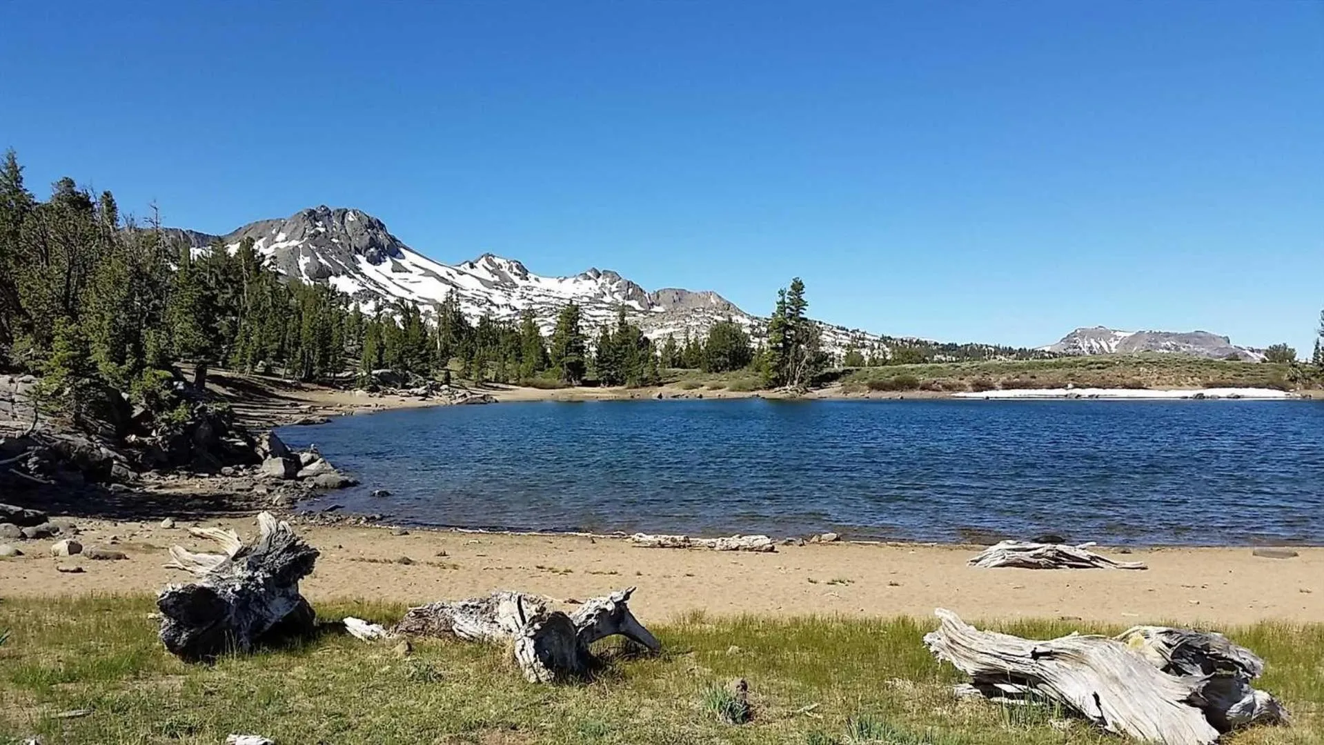 Lakeland Village #105