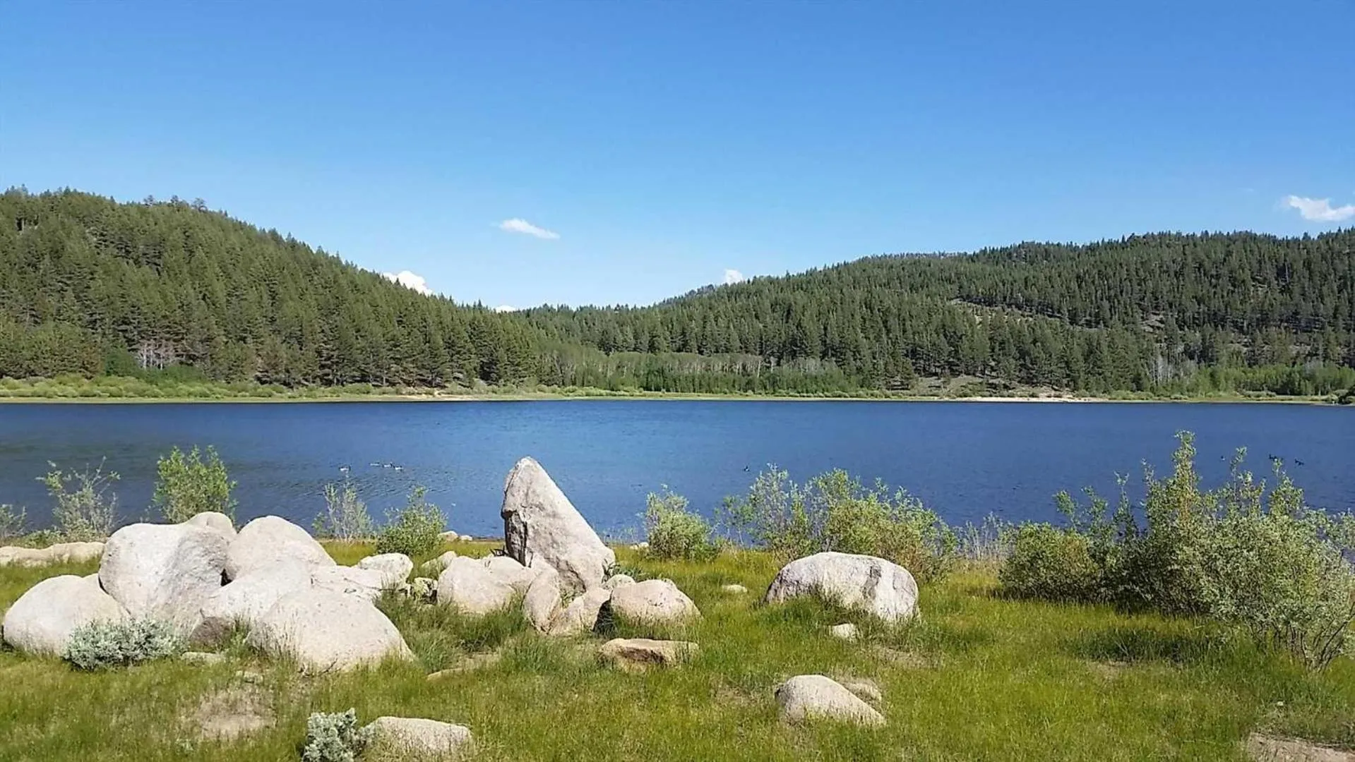 Lakeland Village #105