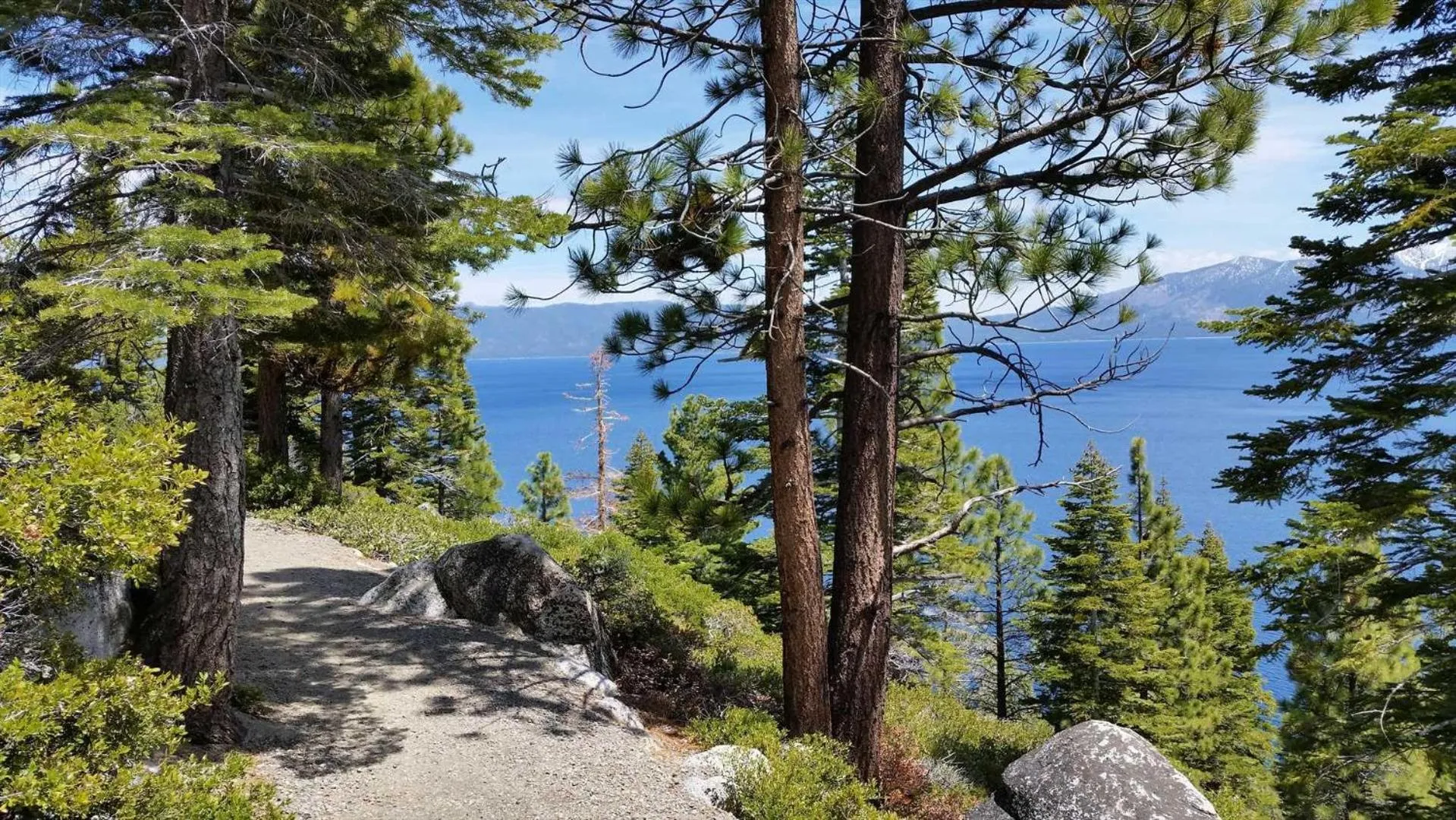 Lakeland Village #105