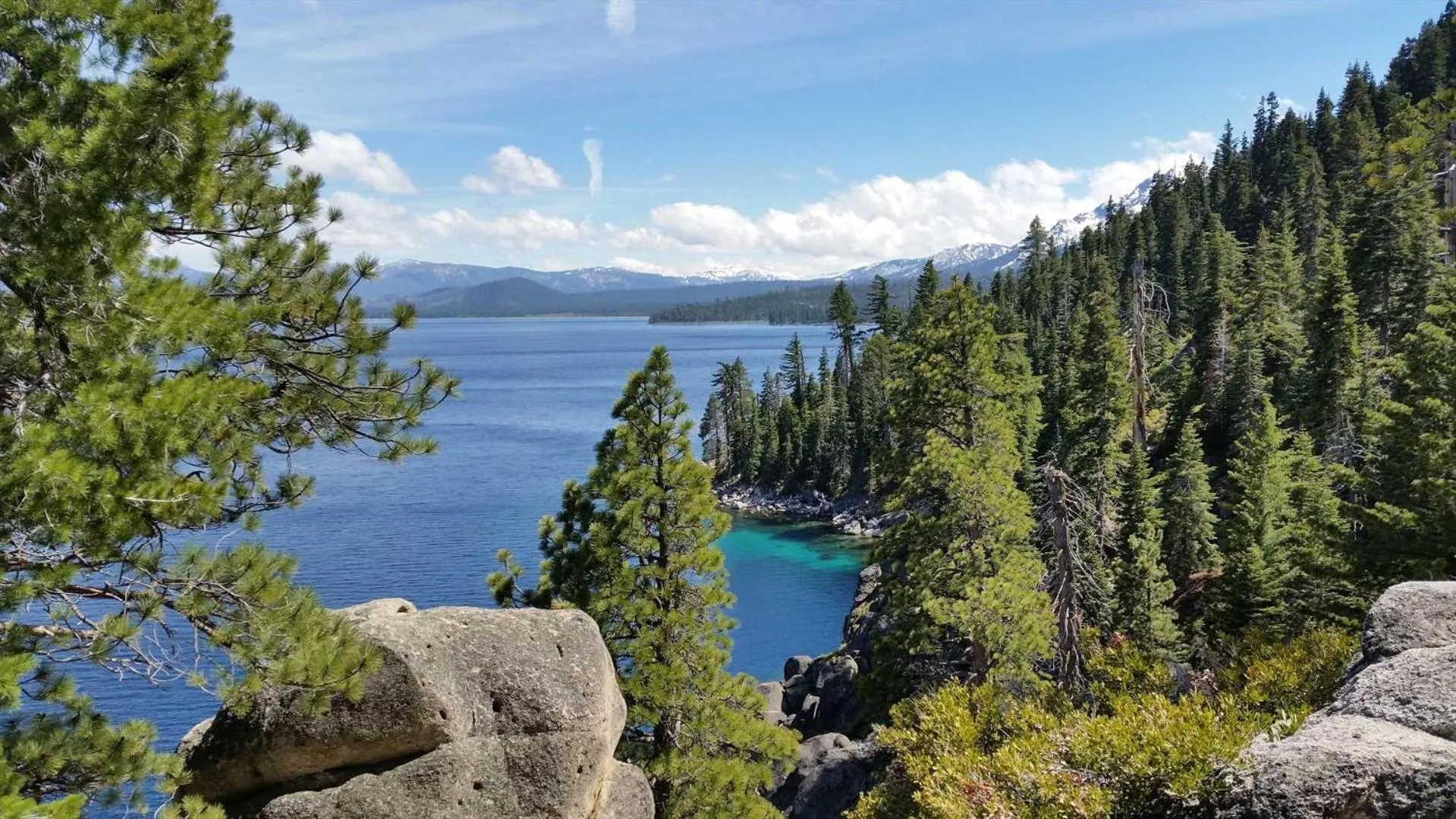 Lakeland Village #105