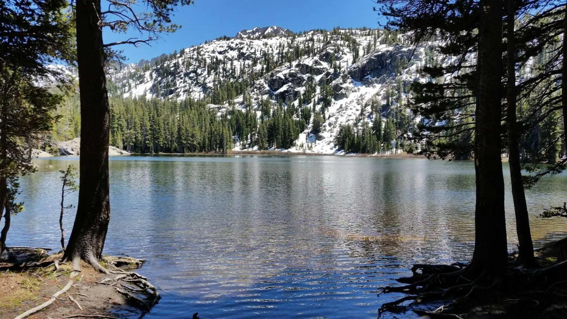 Lakeland Village #105