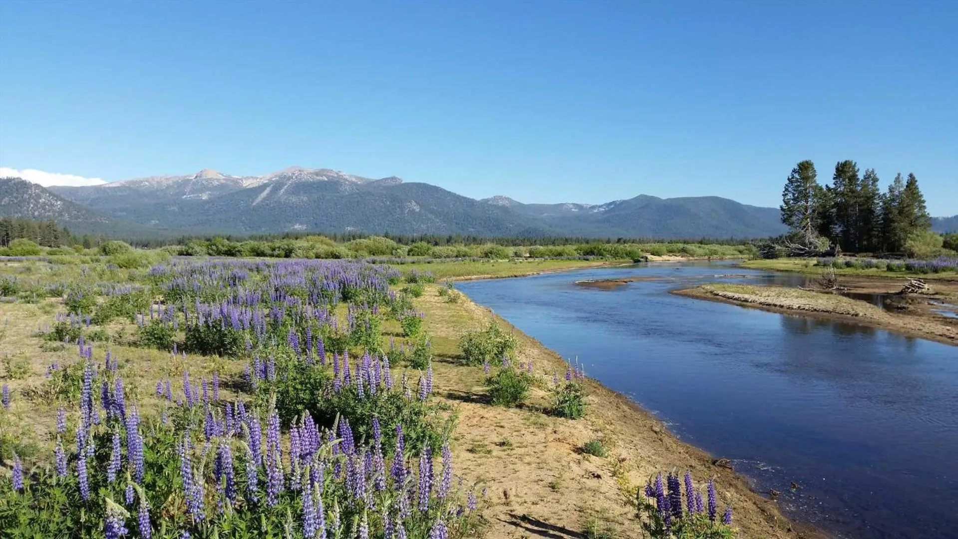 Lakeland Village #105