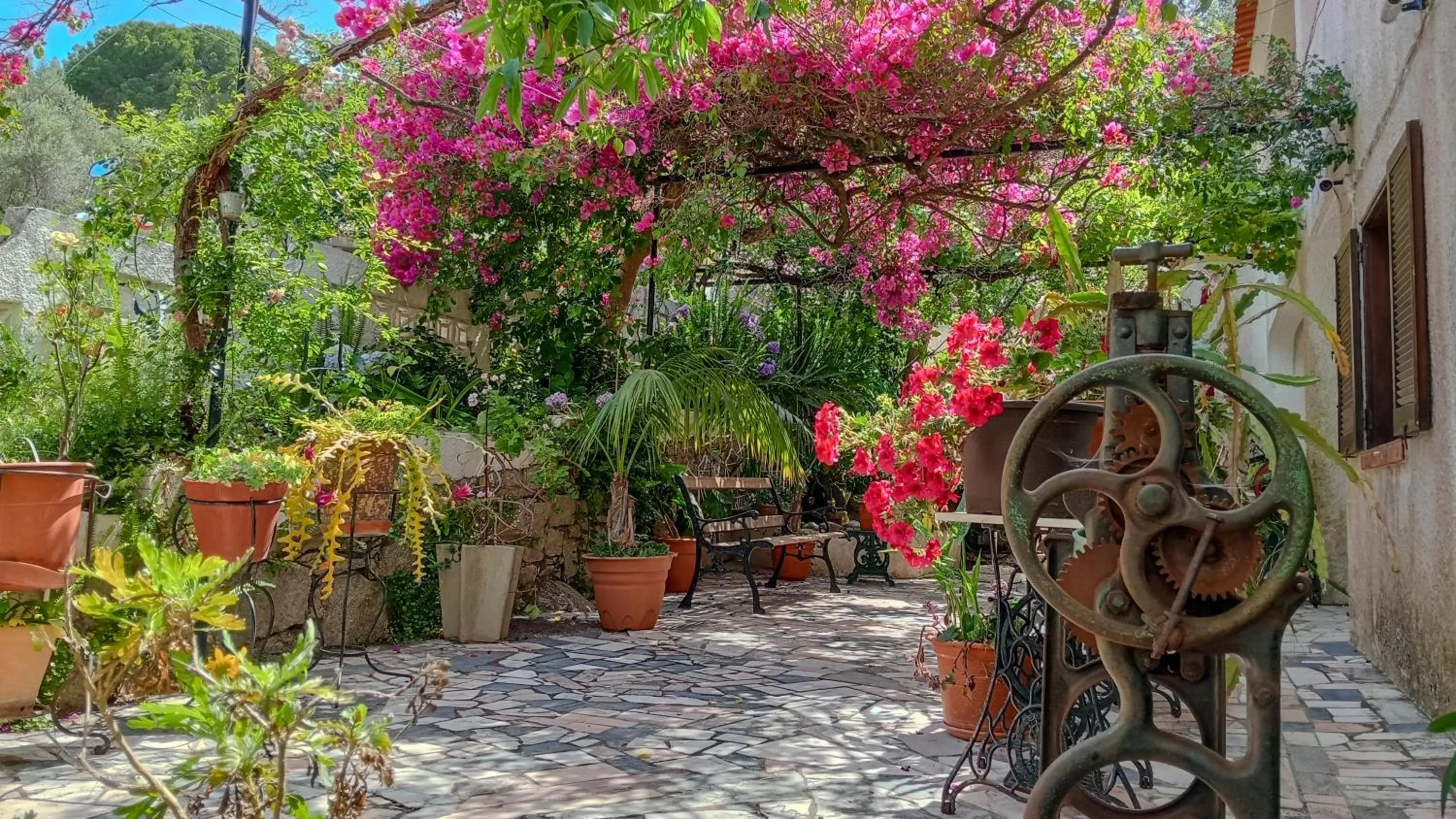 Garden in Albergaria do Lageado