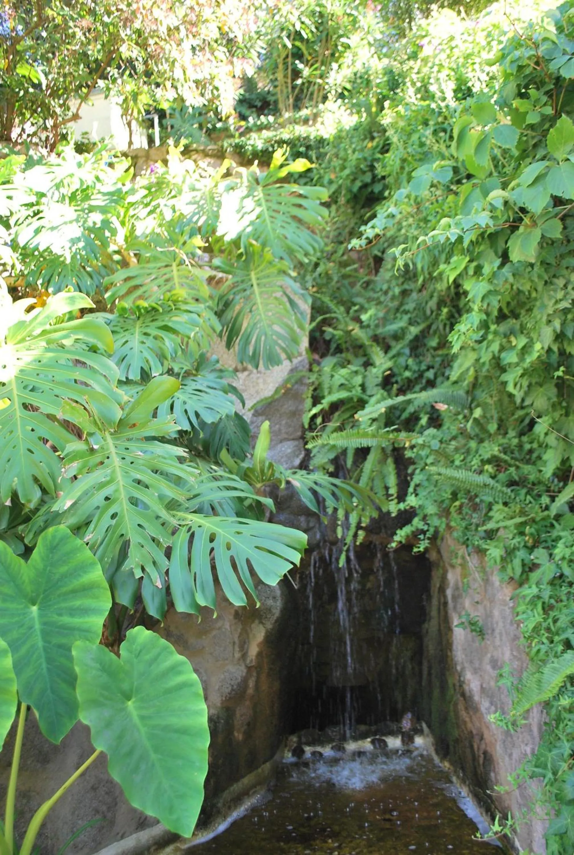 Garden in Albergaria do Lageado