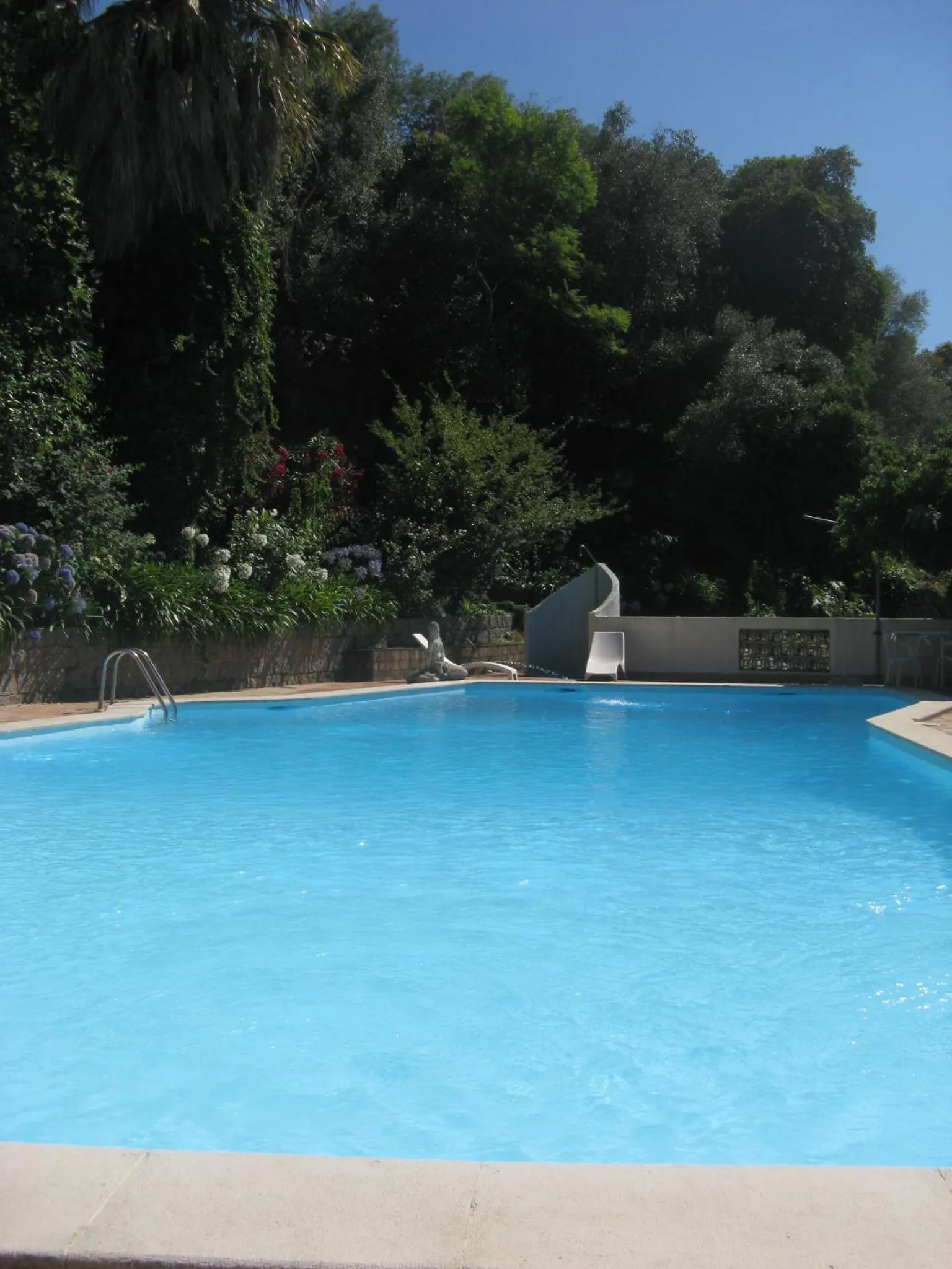 Swimming pool in Albergaria do Lageado